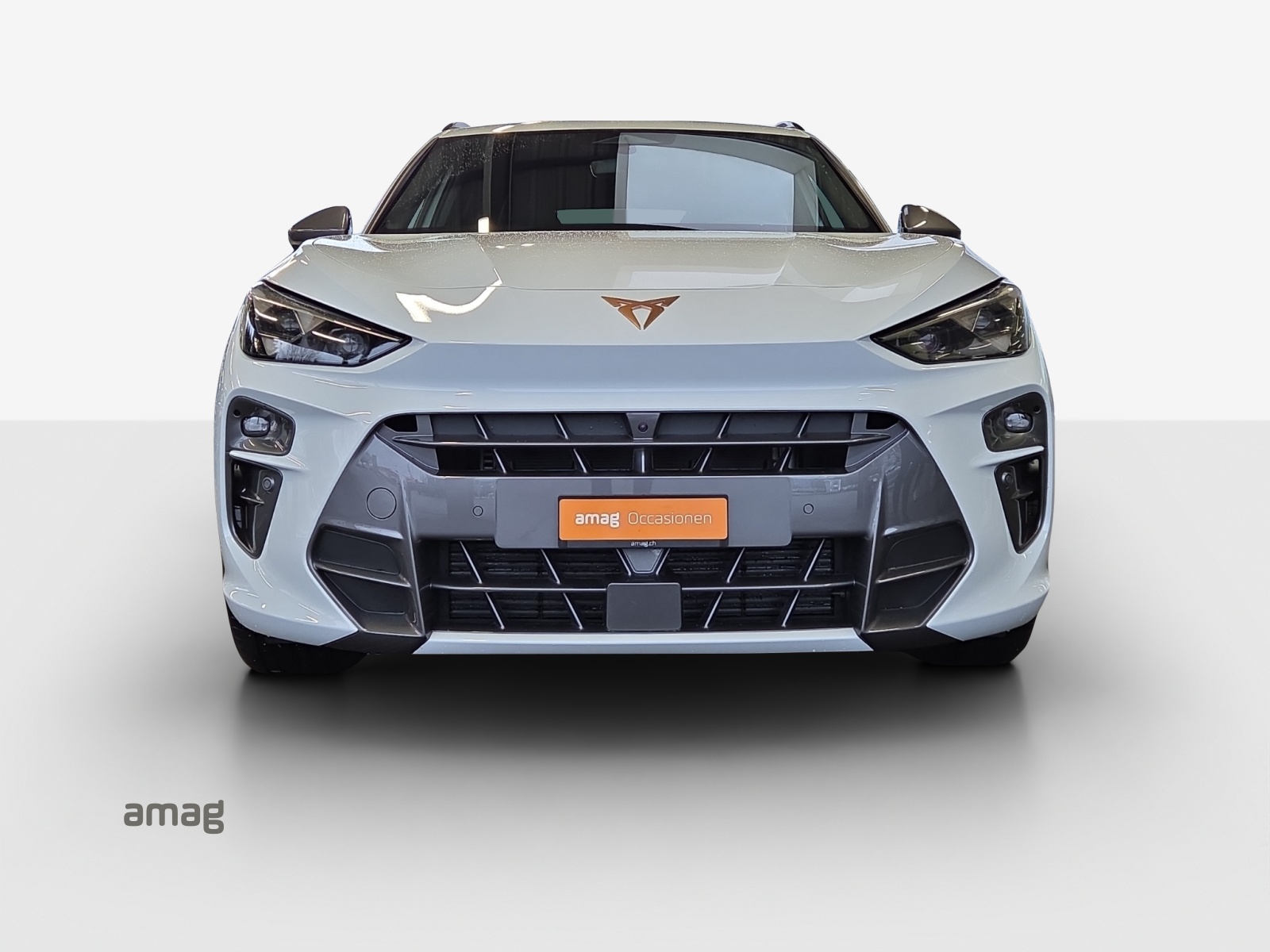 CUPRA Terramar 2.0 TSI DSG 4Drive-image-6