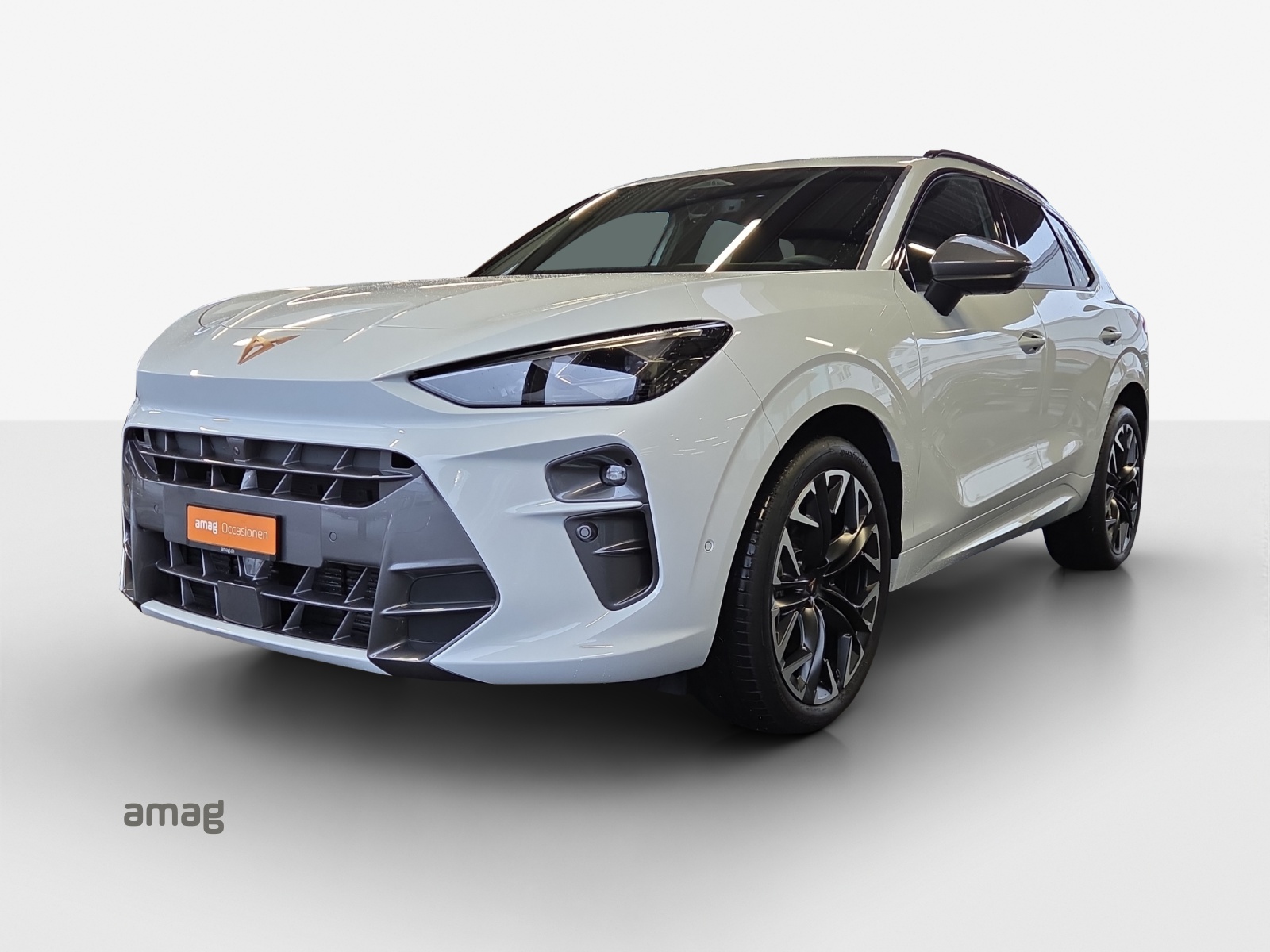 CUPRA Terramar 2.0 TSI DSG 4Drive-image-0