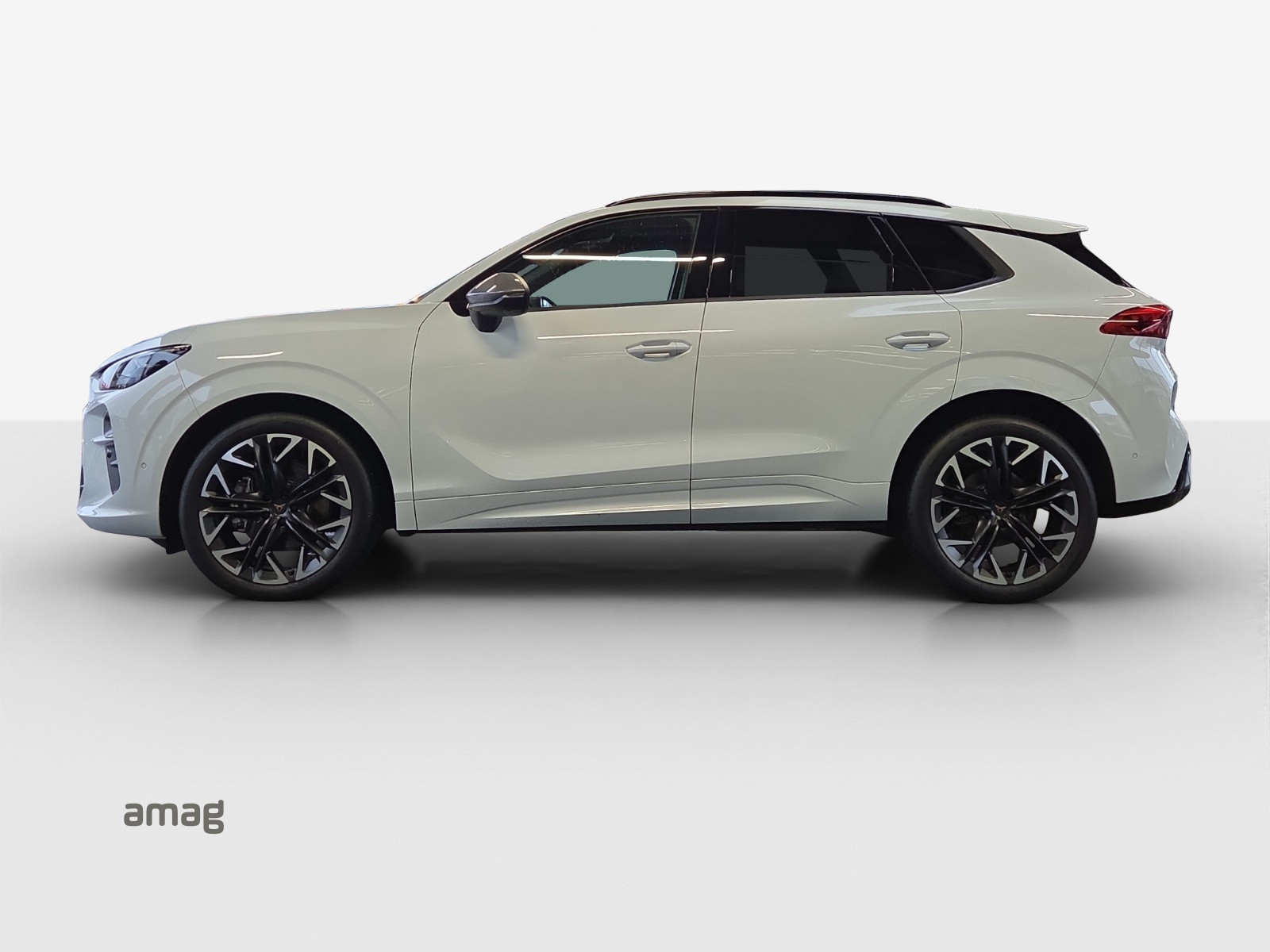 CUPRA Terramar 2.0 TSI DSG 4Drive-image-1