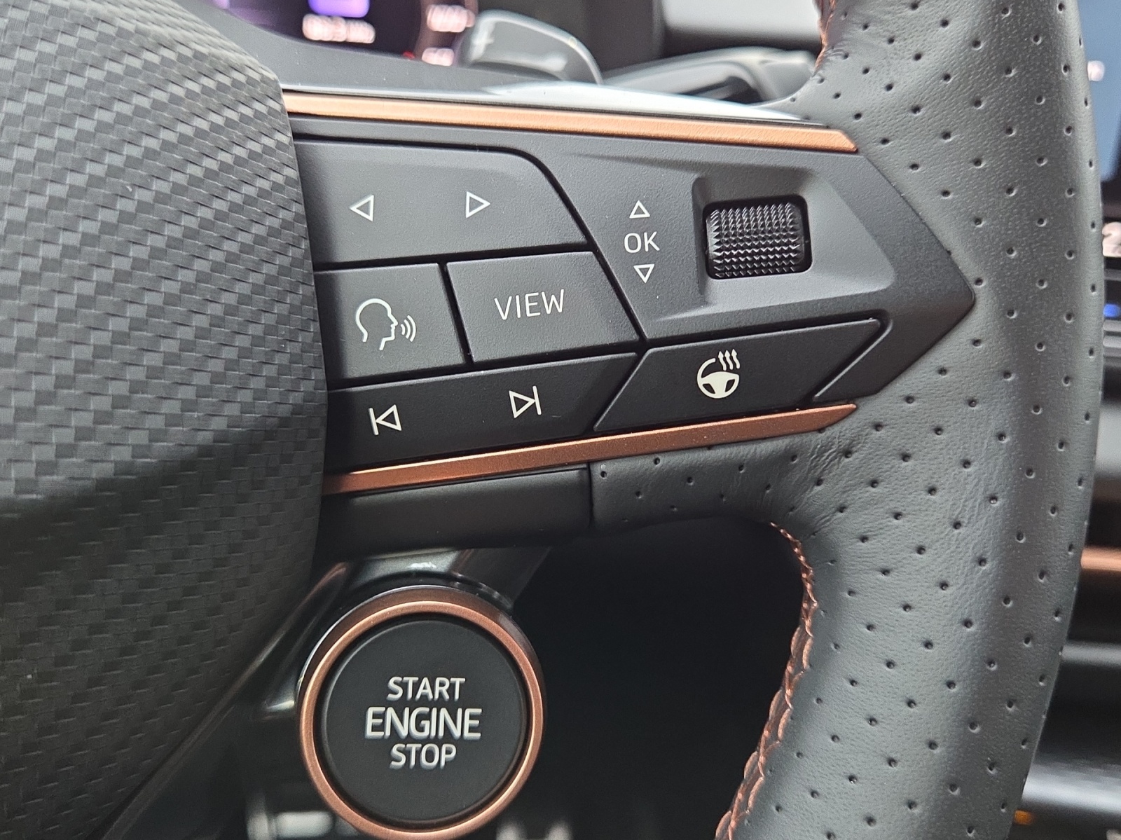 CUPRA Terramar 2.0 TSI DSG 4Drive-image-15