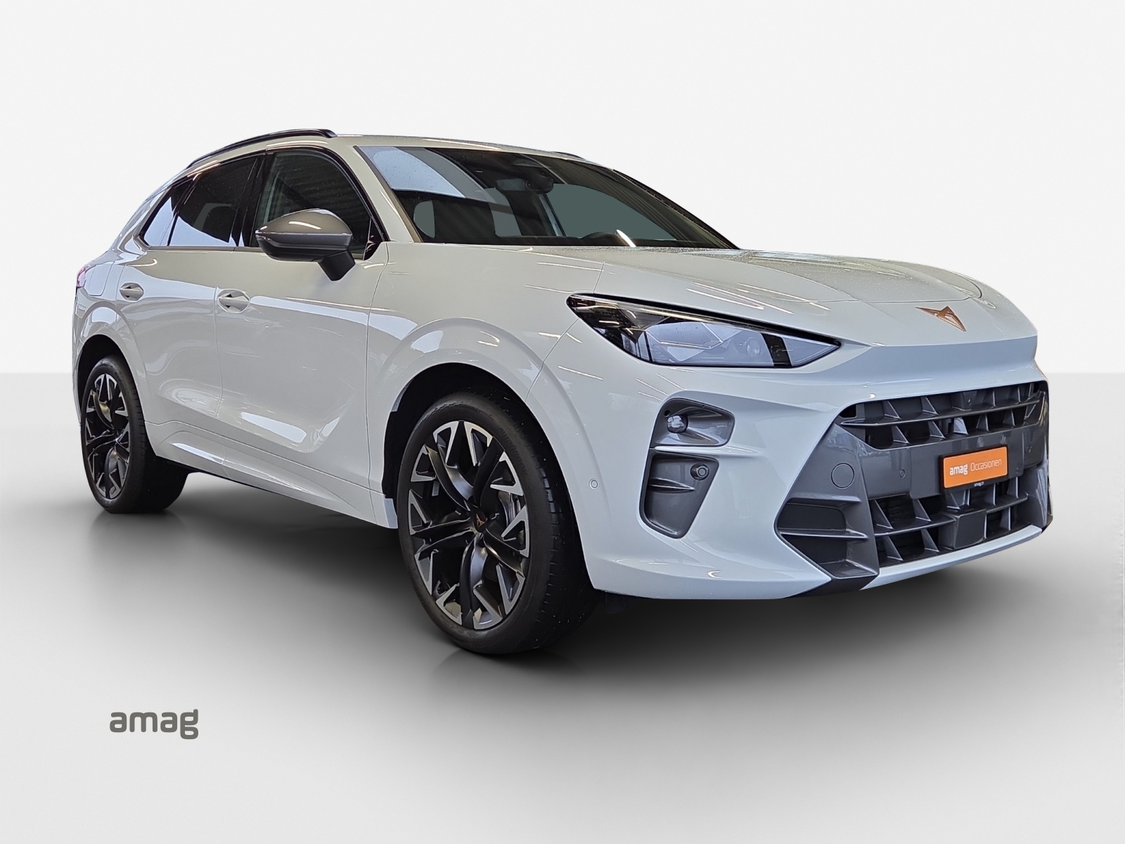 CUPRA Terramar 2.0 TSI DSG 4Drive-image-5