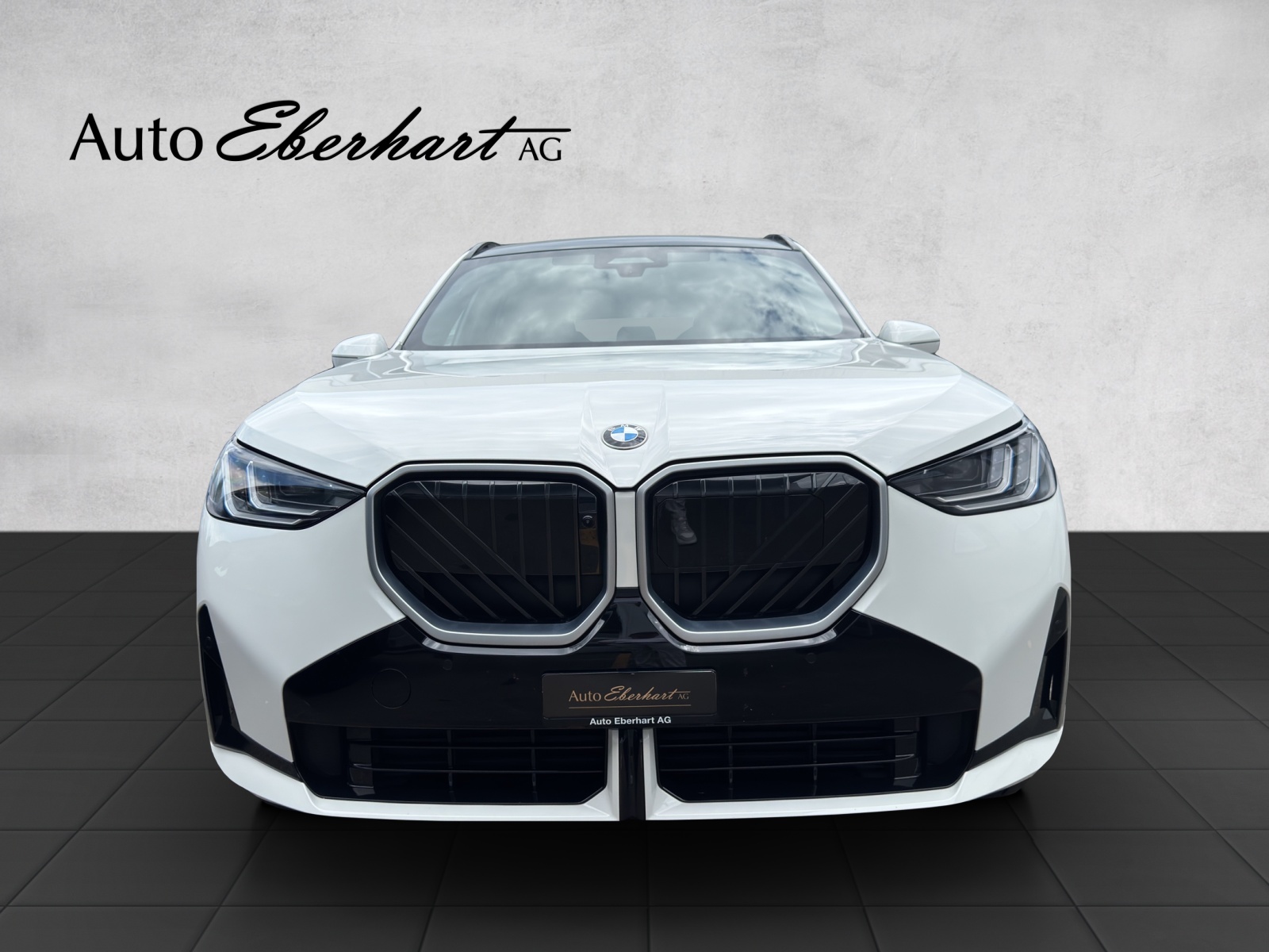 BMW X3 xDrive 48V 40d M Sport-image-3