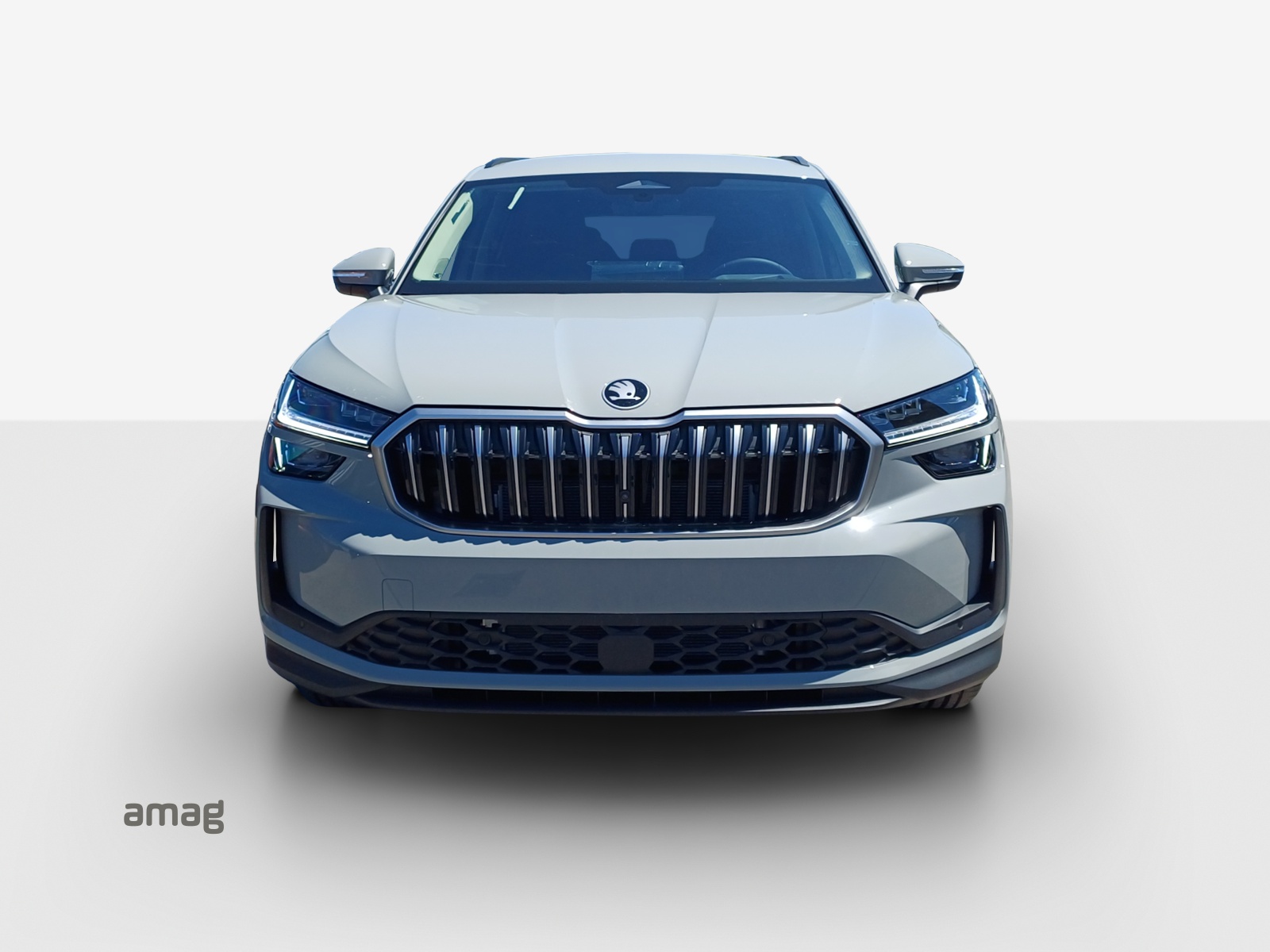 SKODA Kodiaq 1.5 TSI PHEV Dynamic-image-6