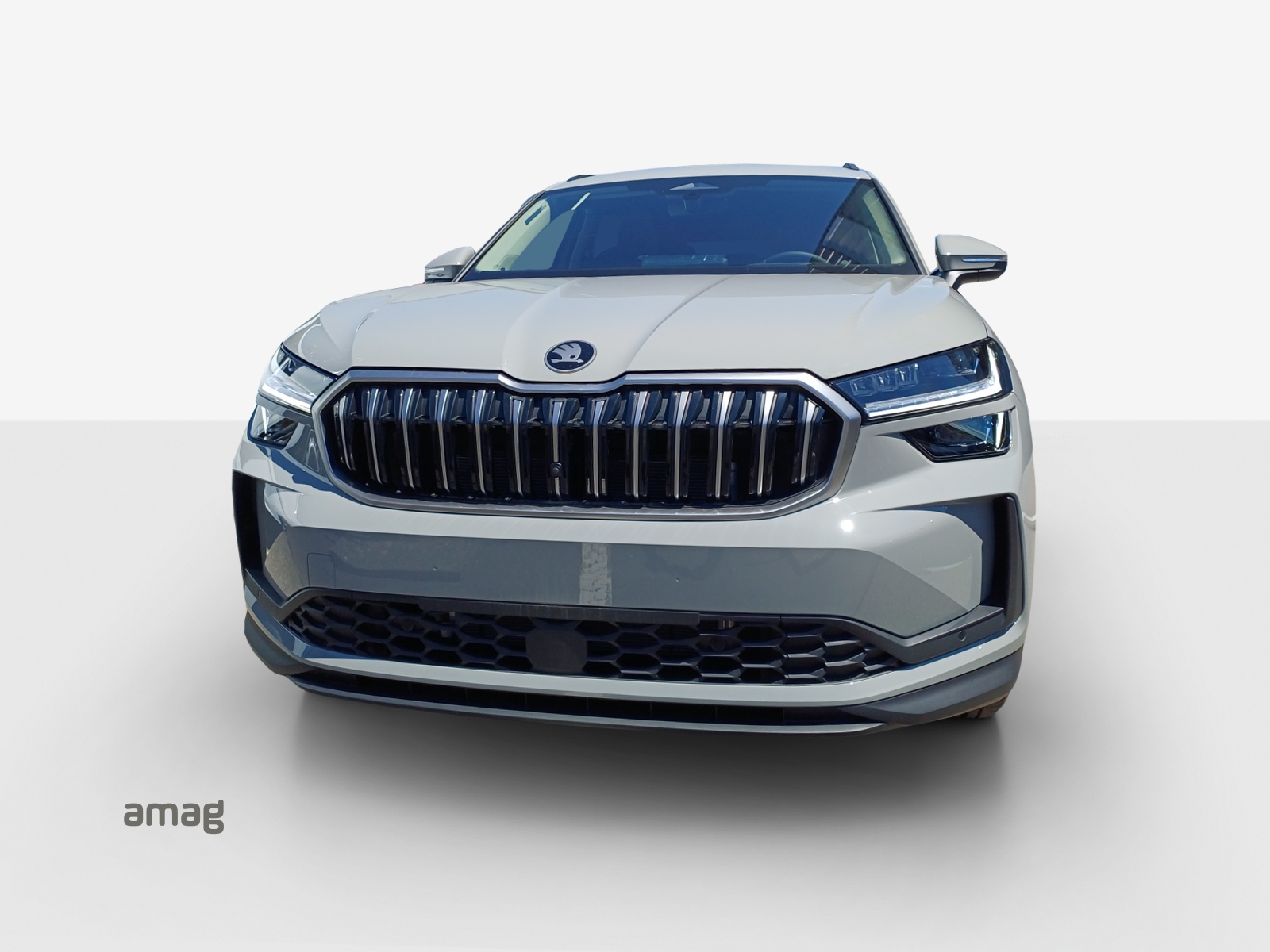 SKODA Kodiaq 1.5 TSI PHEV Dynamic-image-14