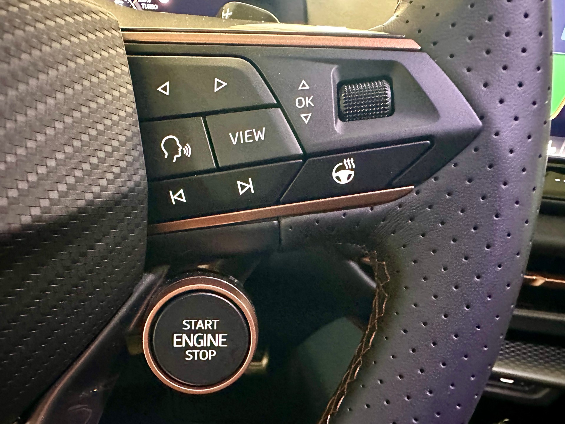 CUPRA Terramar 2.0 TSI DSG 4Drive VZ-image-13