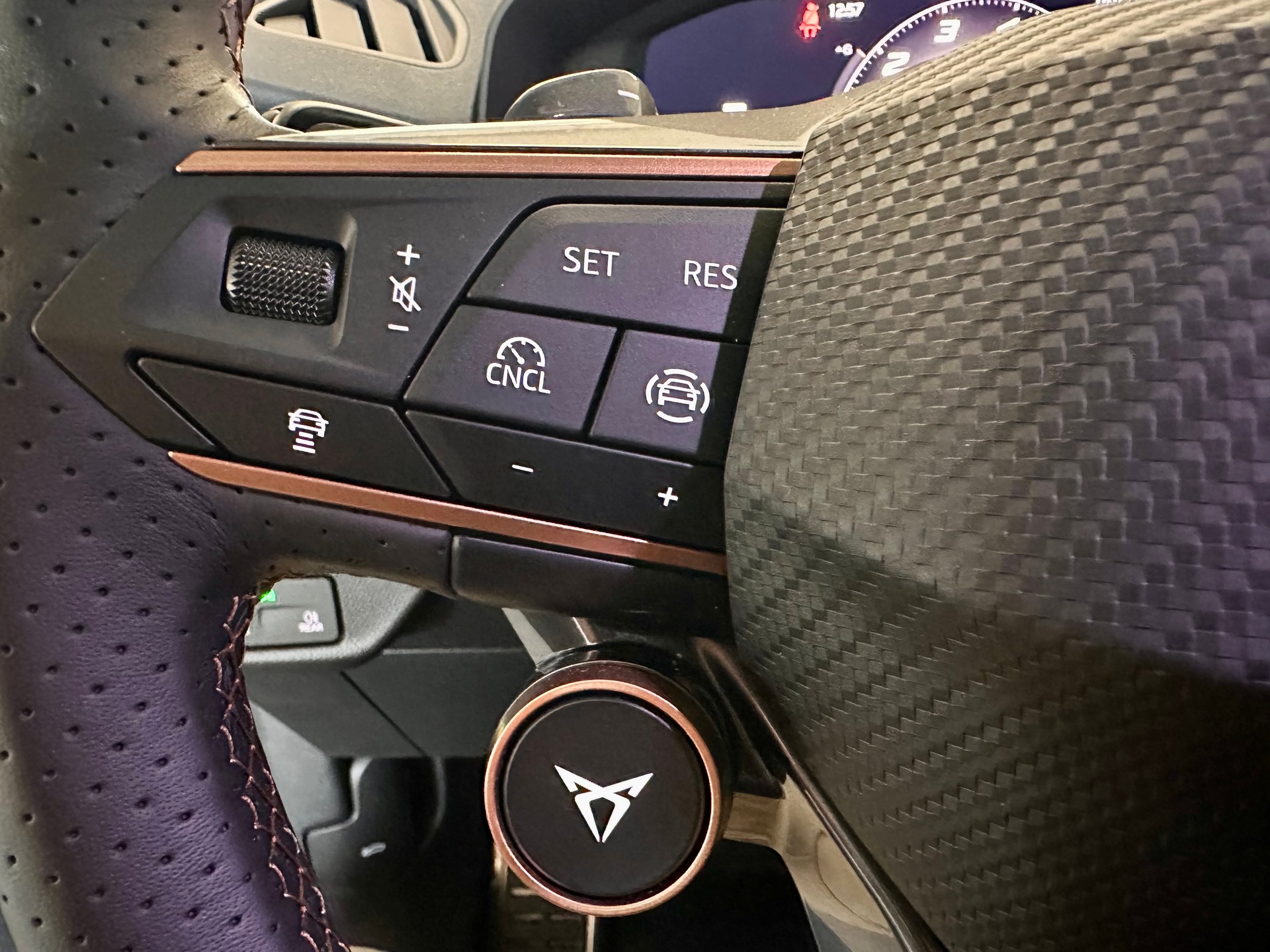CUPRA Terramar 2.0 TSI DSG 4Drive VZ-image-14
