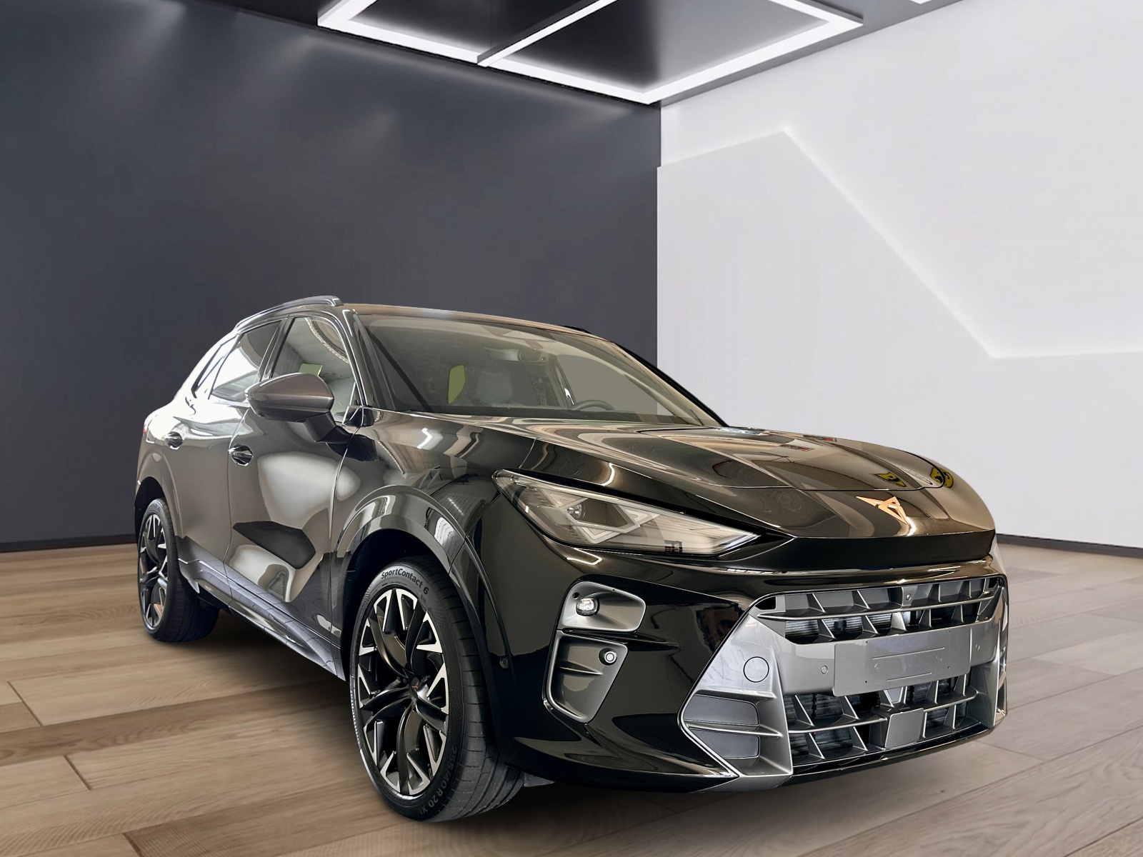 CUPRA Terramar 2.0 TSI DSG 4Drive VZ-image-3