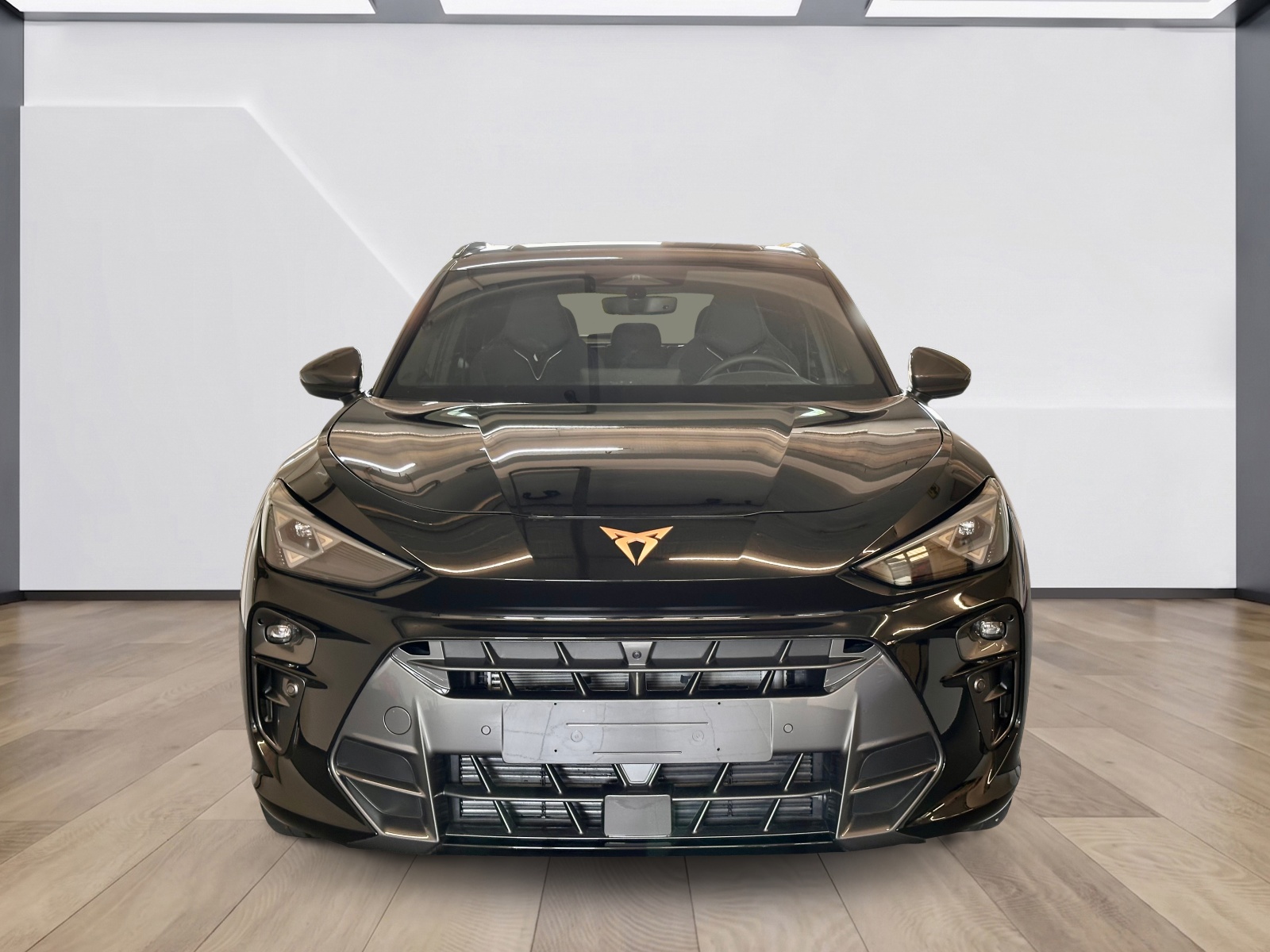 CUPRA Terramar 2.0 TSI DSG 4Drive VZ-image-1