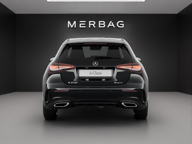 MERCEDES-BENZ A 250 4Matic 8G-DCT-image-3