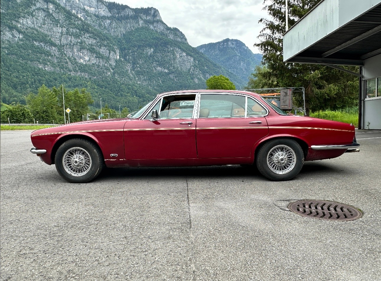 JAGUAR 6 L-image-13