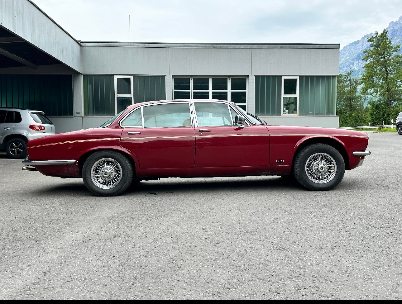 JAGUAR 6 L-image-6