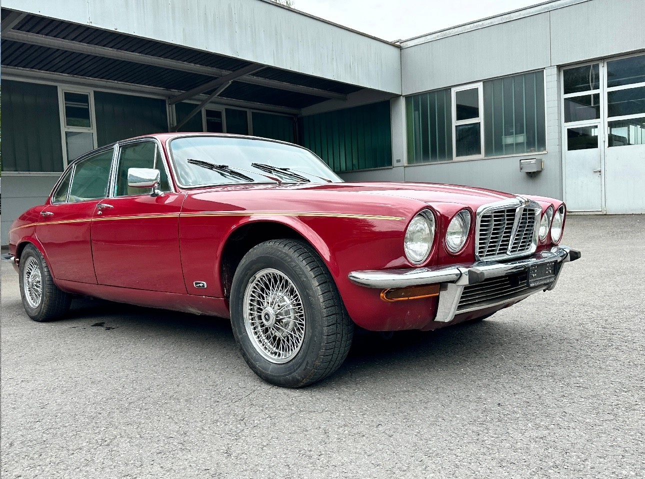 JAGUAR 6 L-image-7