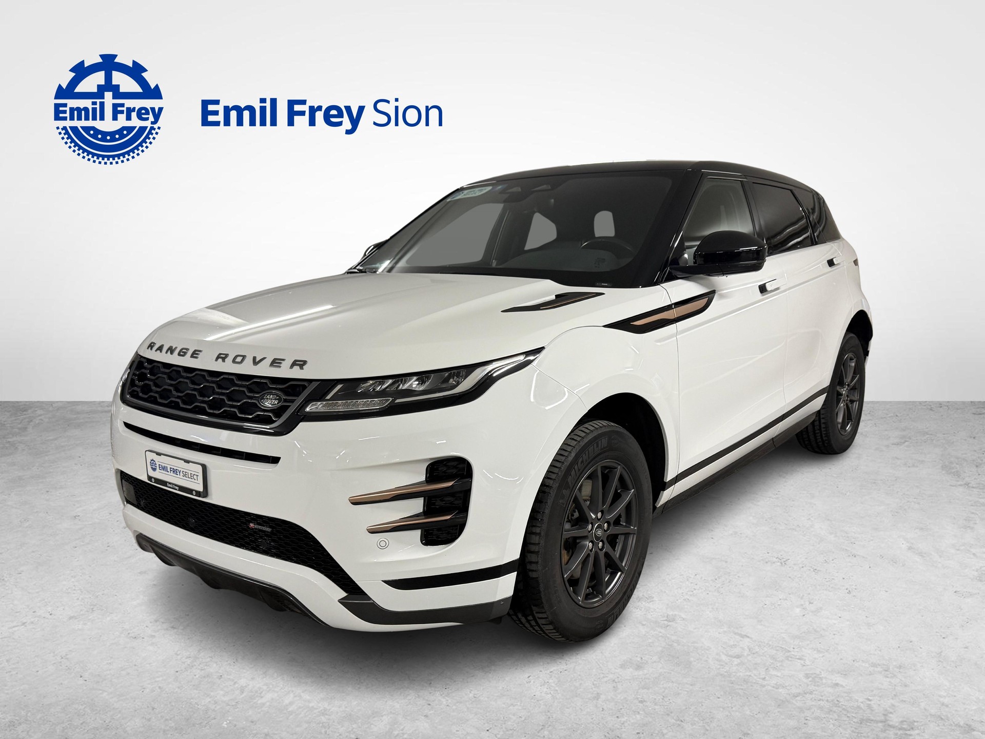 LAND ROVER Range Rover Evoque 2.0 T R-Dynamic-image-0