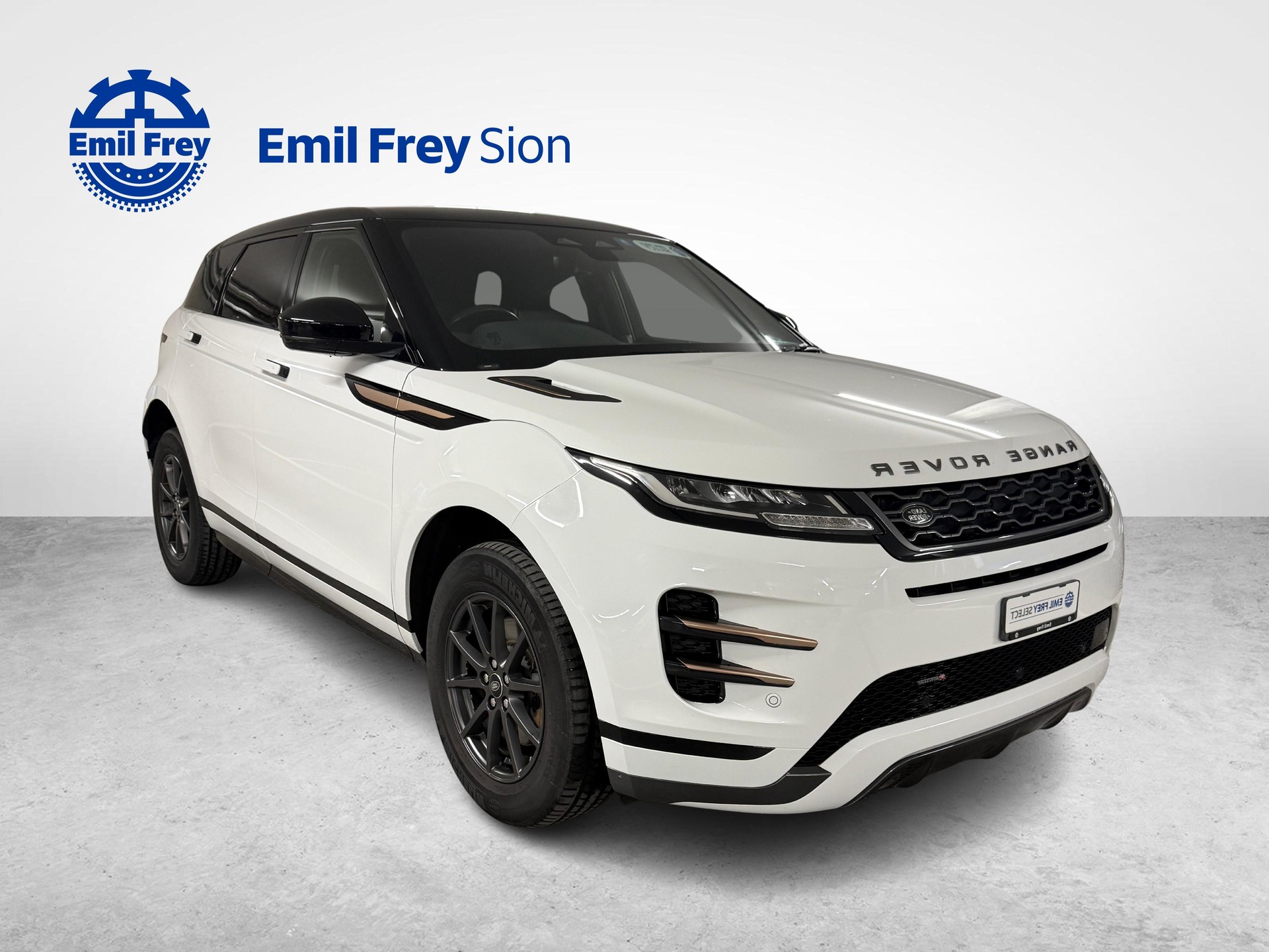 LAND ROVER Range Rover Evoque 2.0 T R-Dynamic-image-1