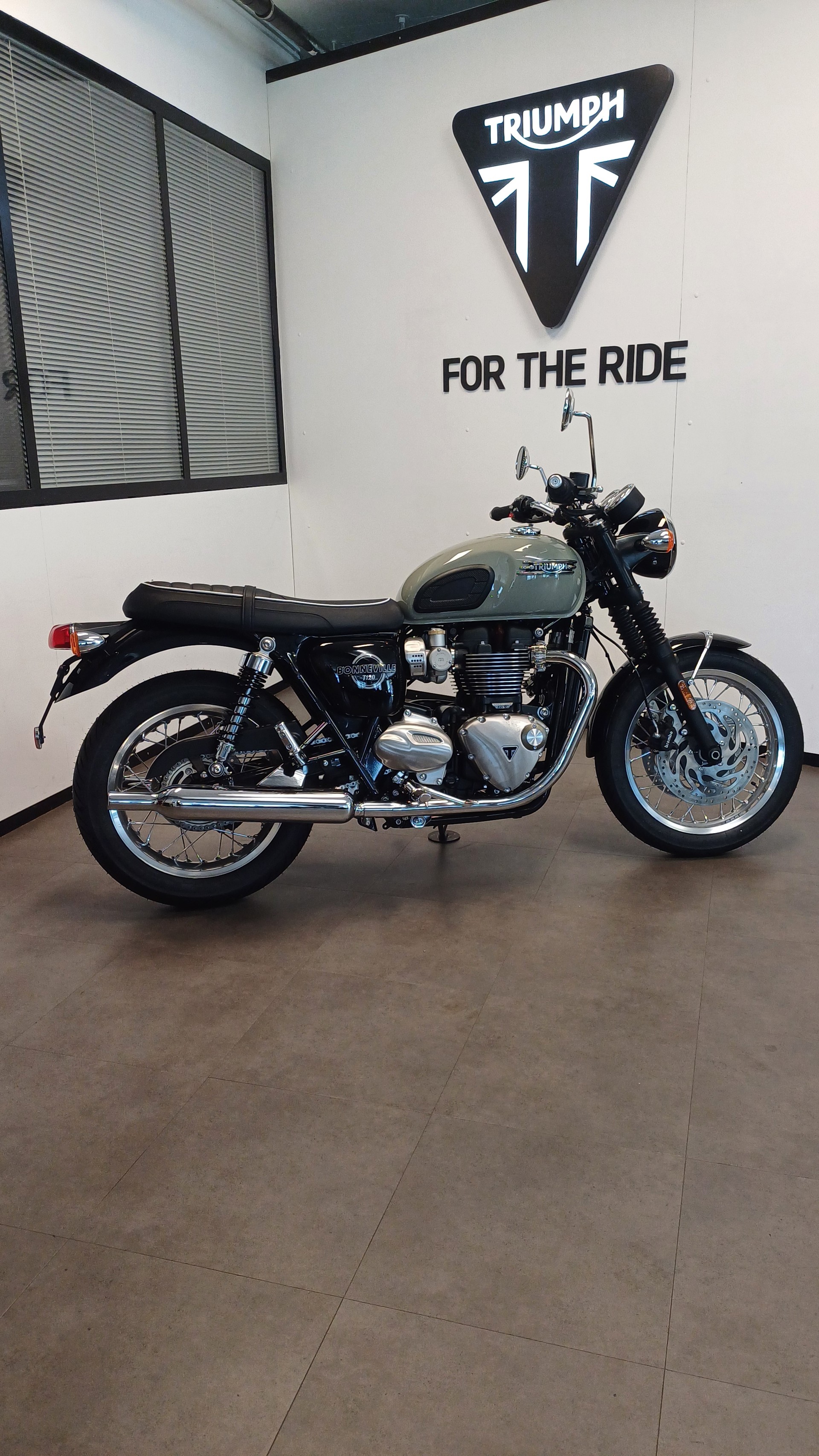 TRIUMPH T120-image-2