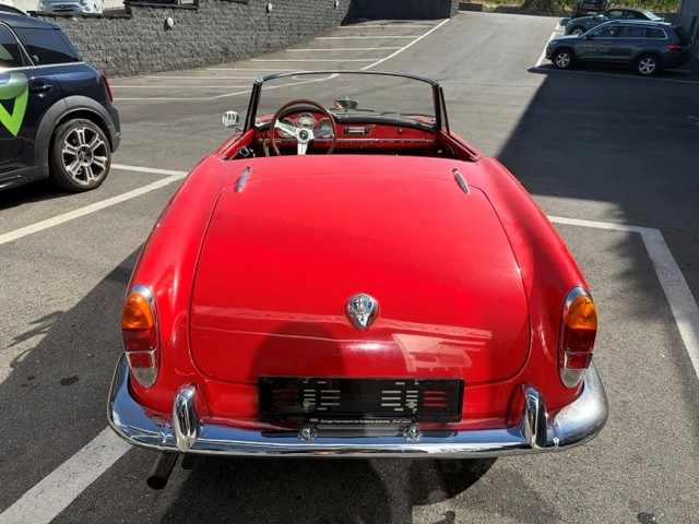 ALFA ROMEO Spider-image-5