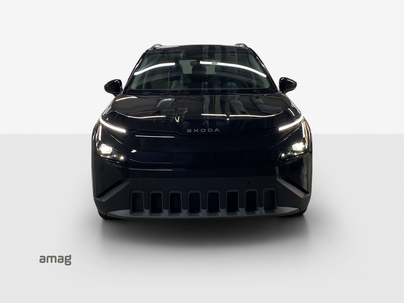 SKODA Epiq 55 Selection-image-6