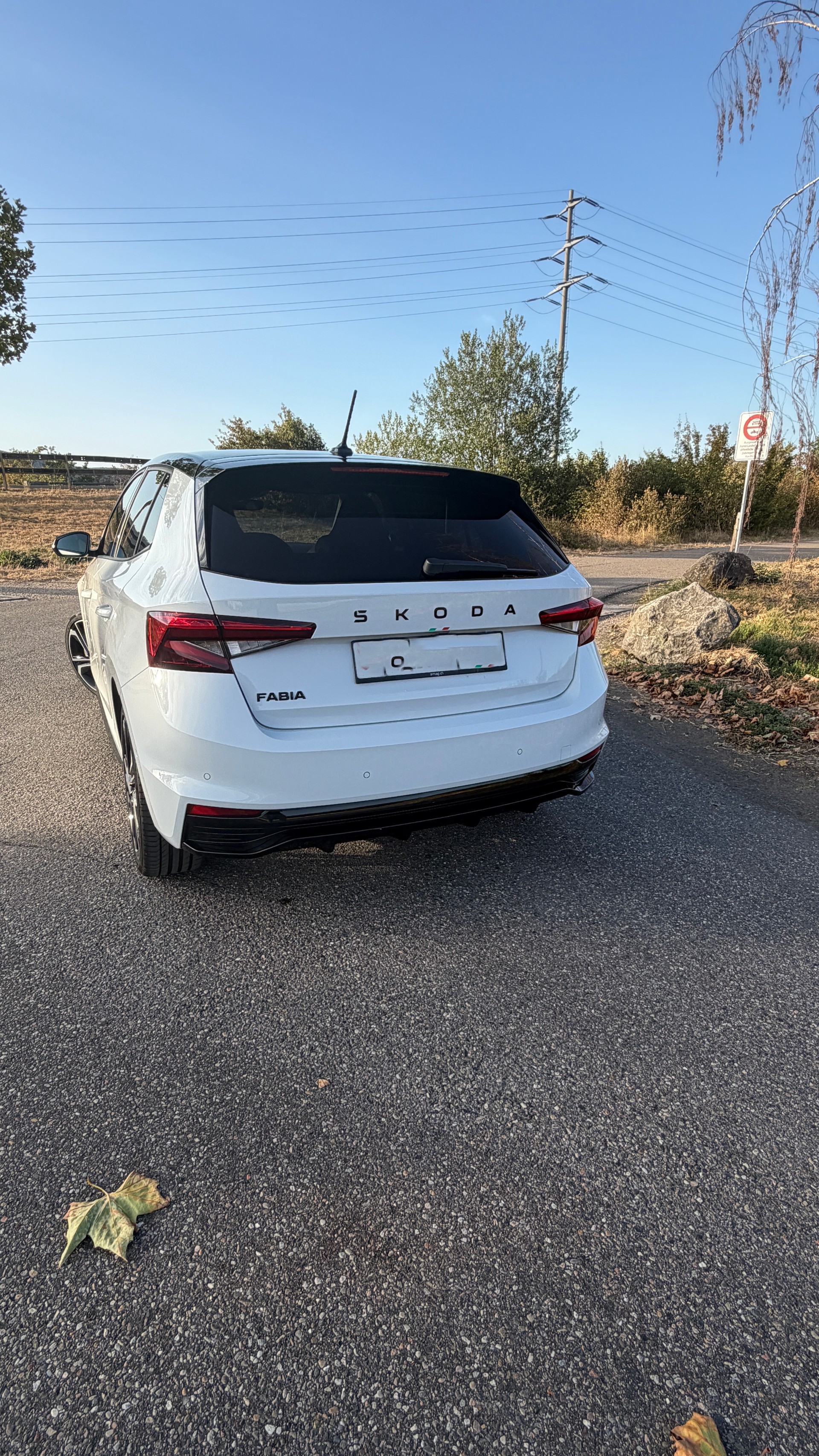 SKODA 1.5 TSI Monte Carlo DSG-image-2