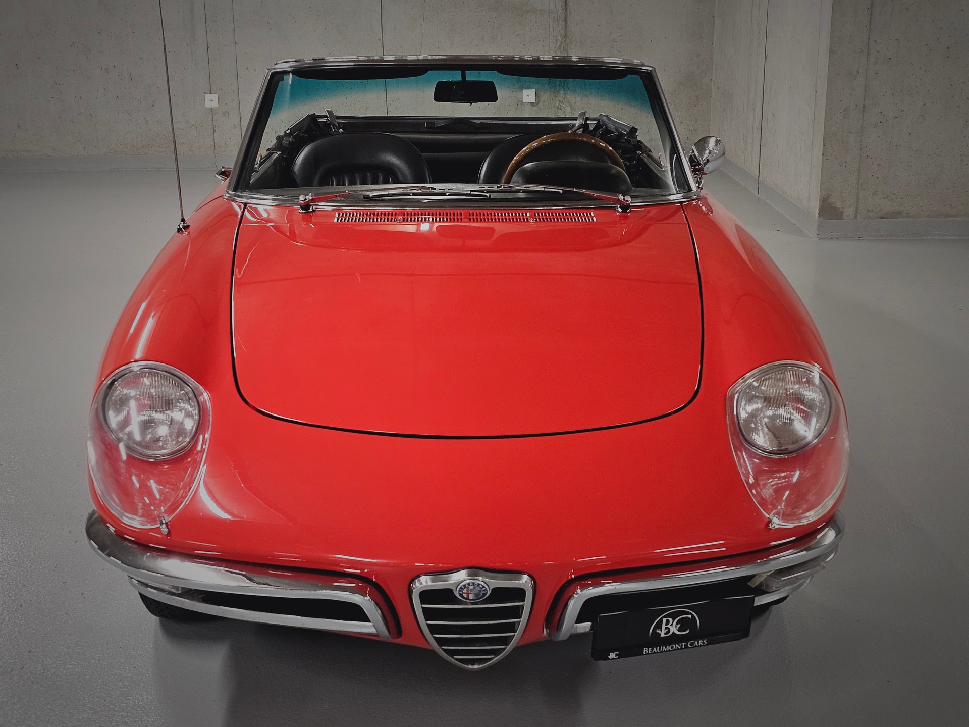 ALFA ROMEO 1600 DUETTO 1 re série « osso di seppia - os de seiche »-image-4