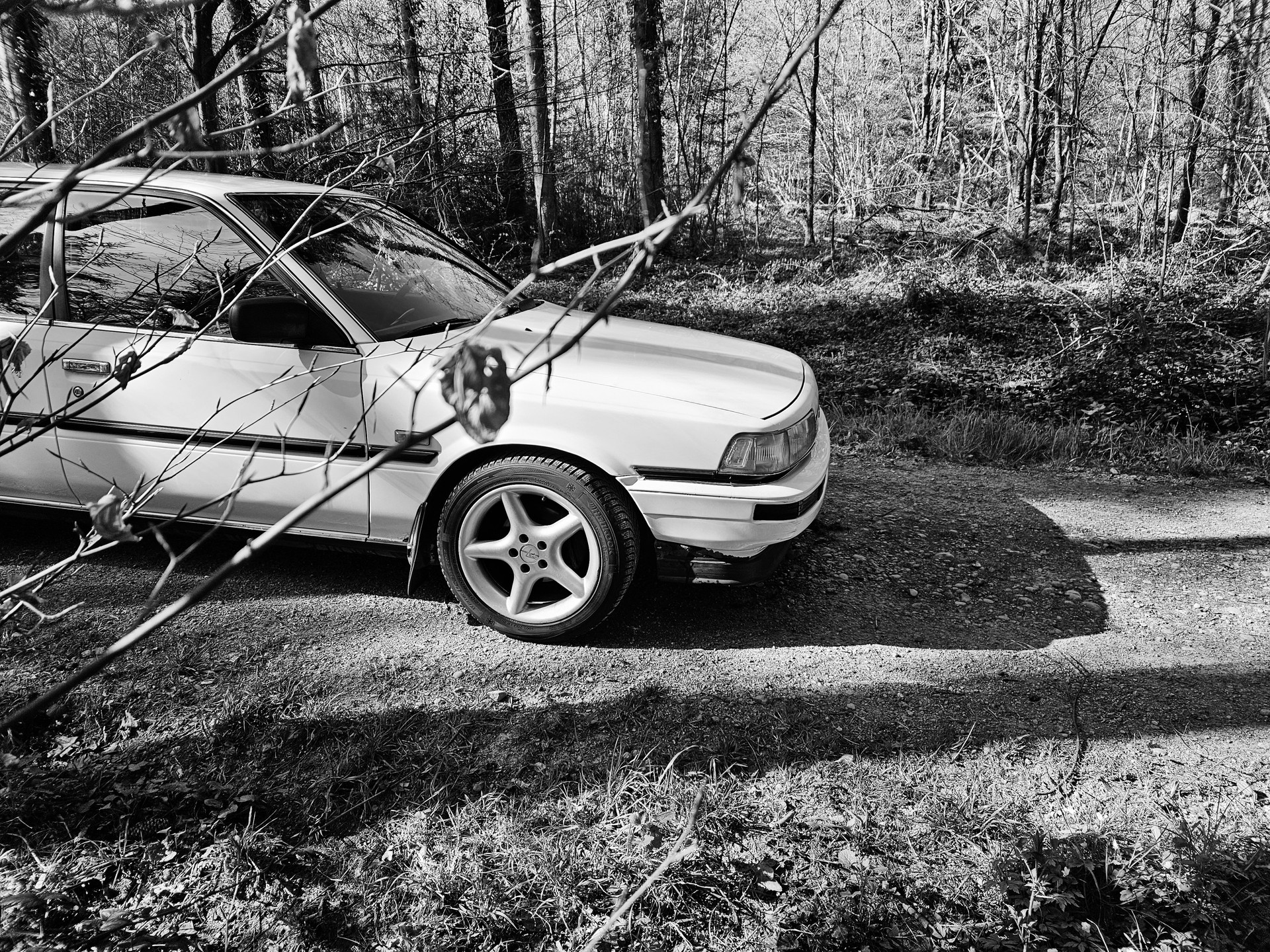 TOYOTA Camry 2000 GLi Sportwagon-image-5