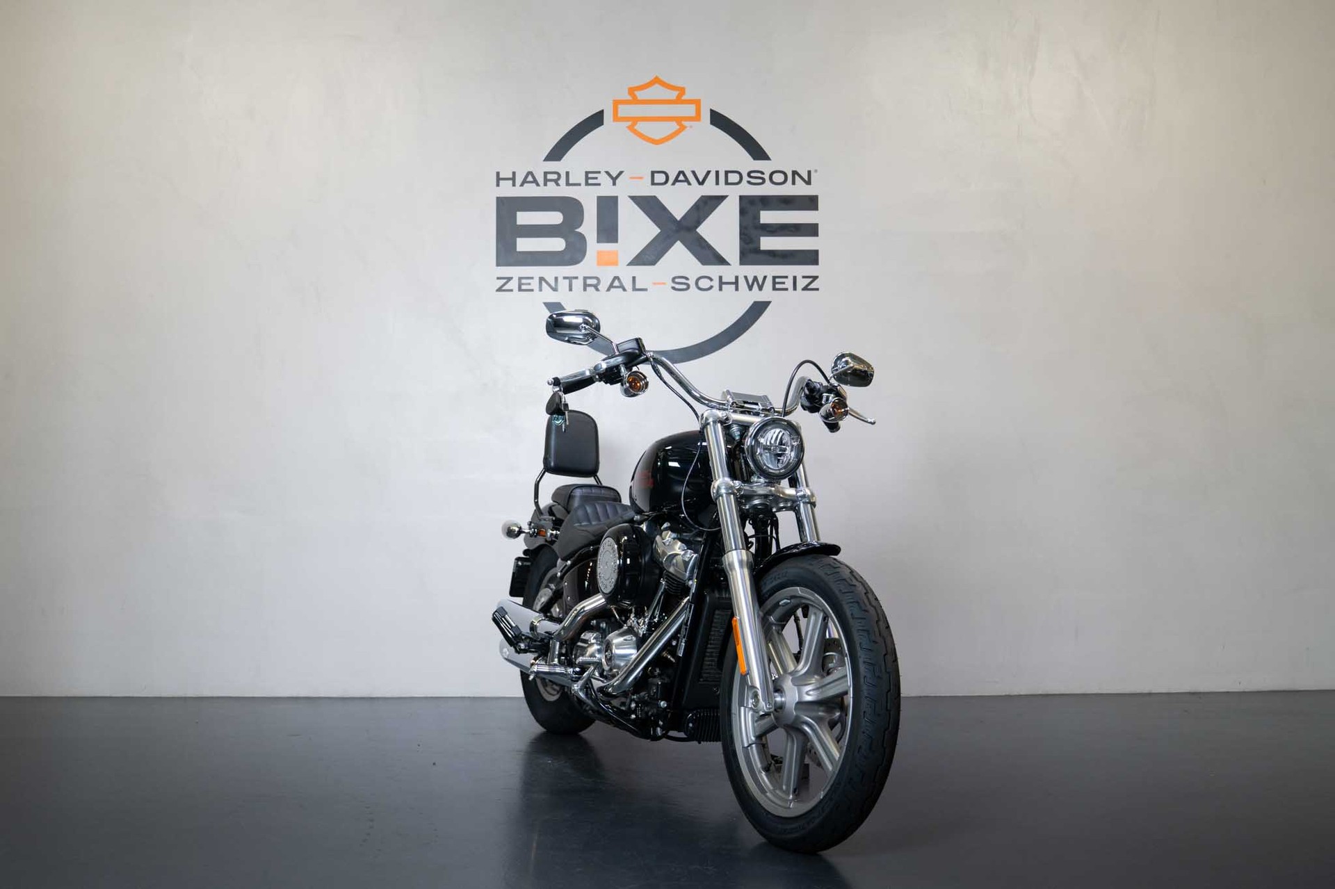 HARLEY-DAVIDSON FXST Softail Standard 107-showroom-element-2