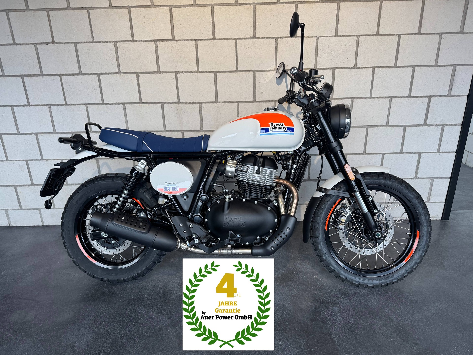 ROYAL ENFIELD Bear 650 Base