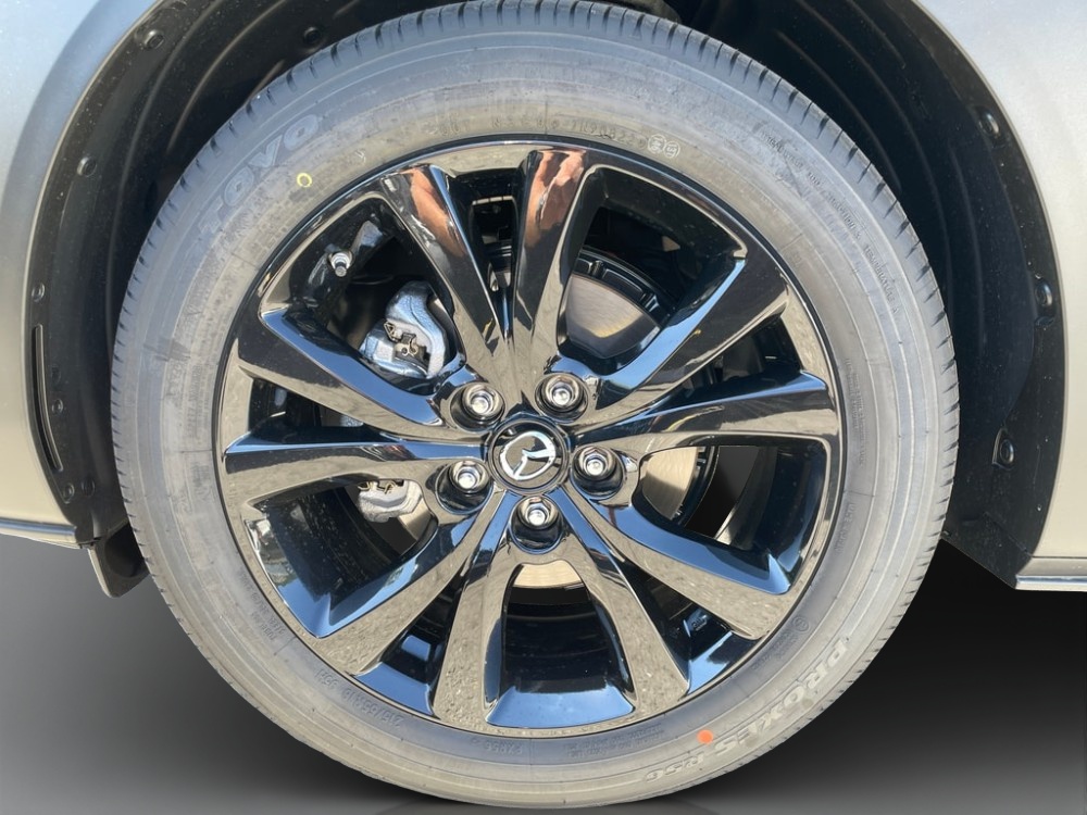 MAZDA CX-30 SKYACTIV-X 186 M Hybrid Homura AWD AT-image-5