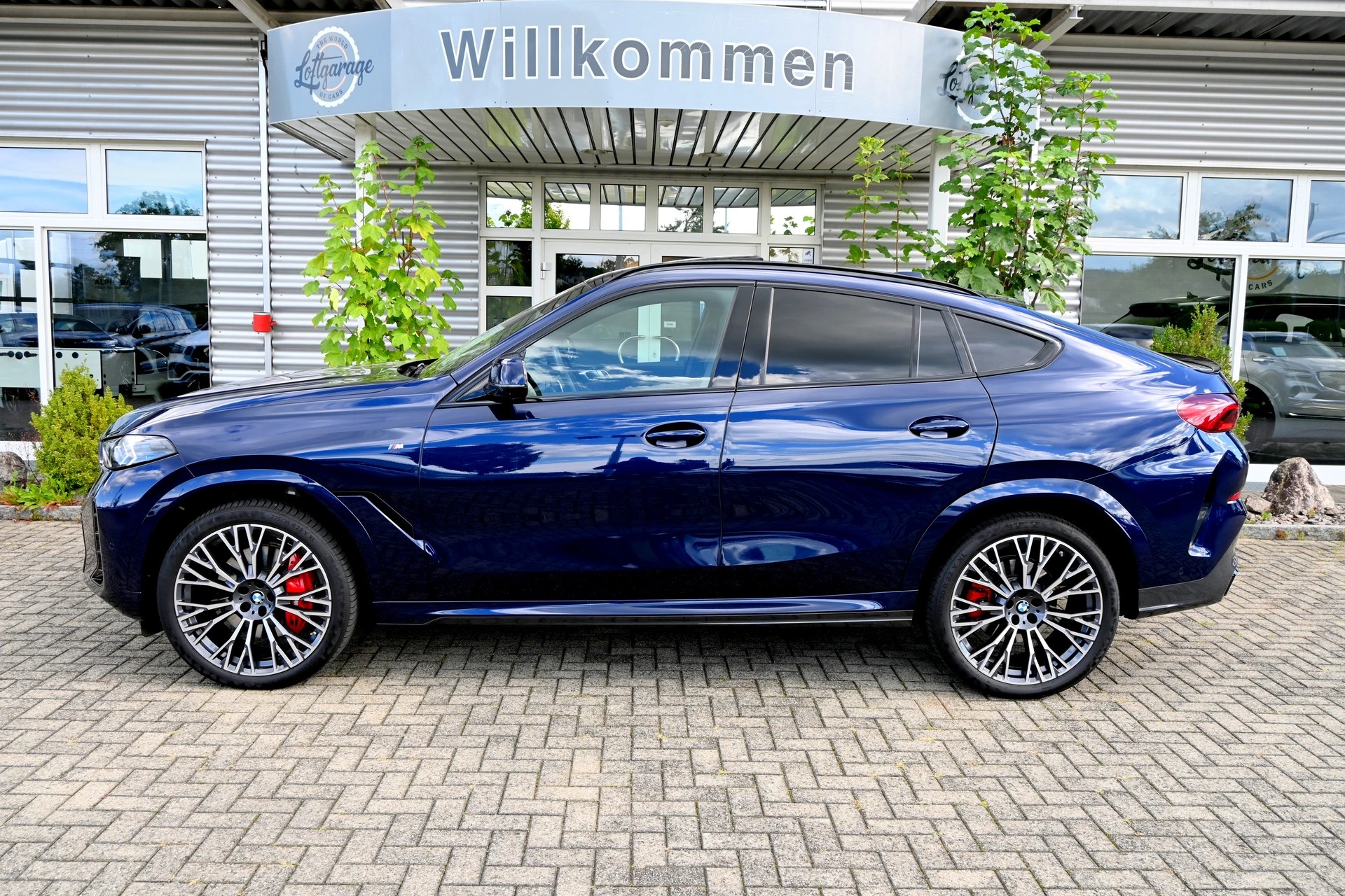 BMW X6 xDrive 48V 40d M Sport Pro Steptronic (CH Auto) Voll-Ausstattung-image-5
