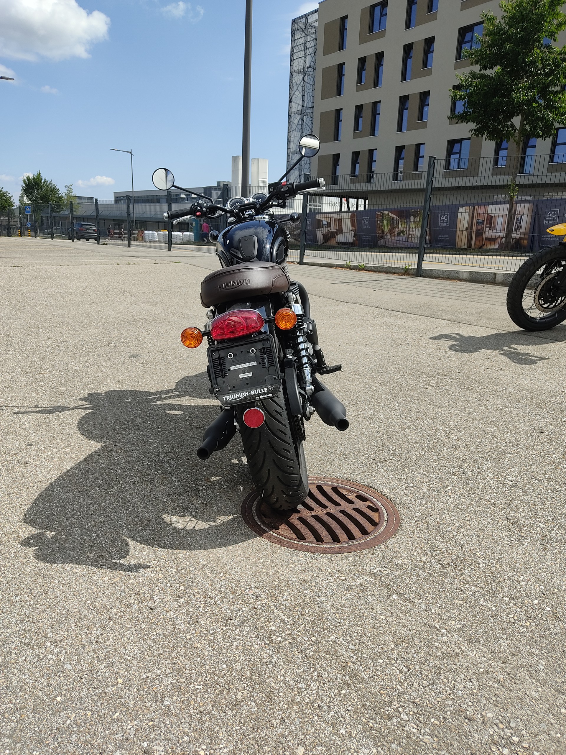 TRIUMPH T120-showroom-element-3