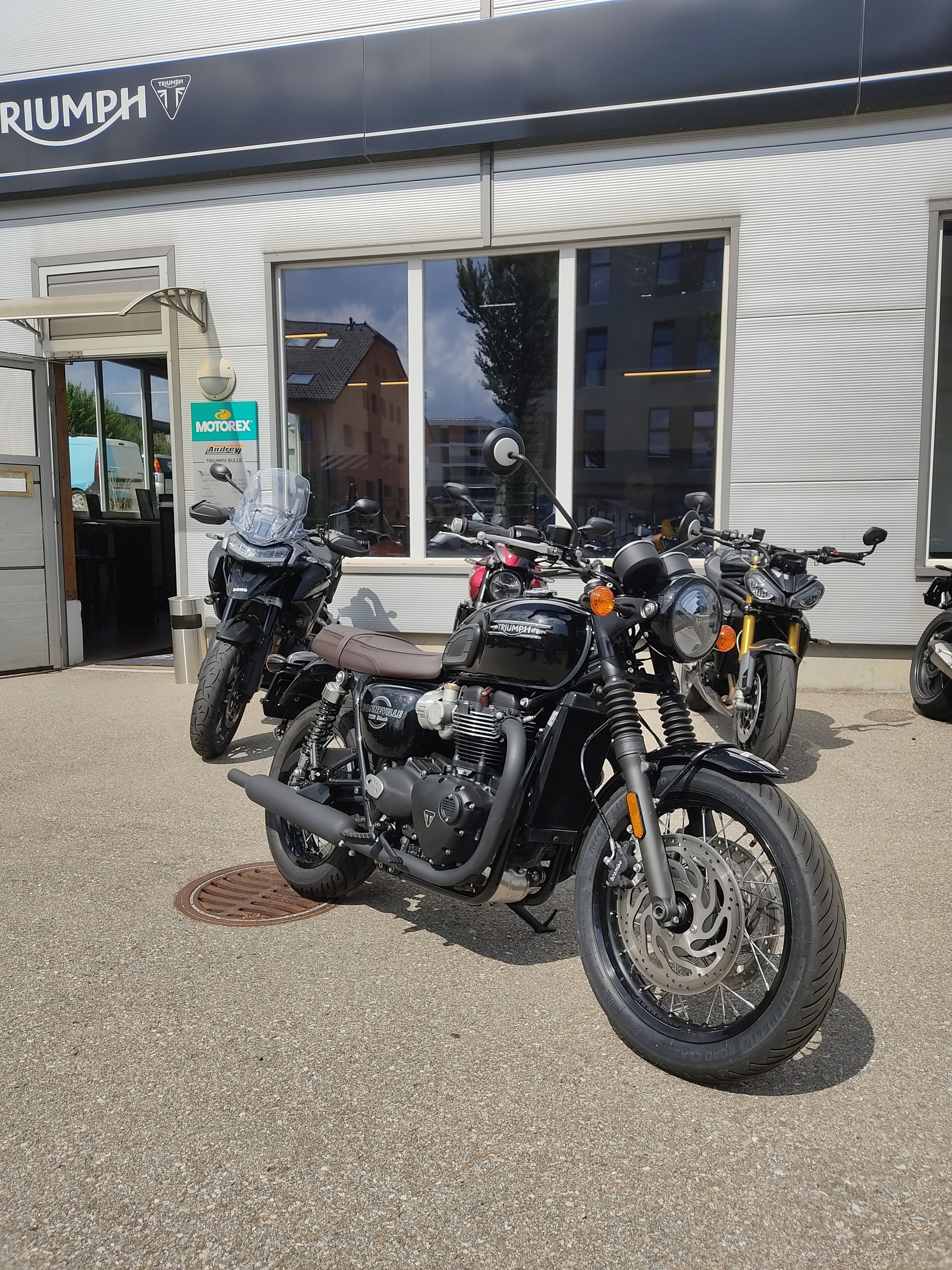 TRIUMPH T120