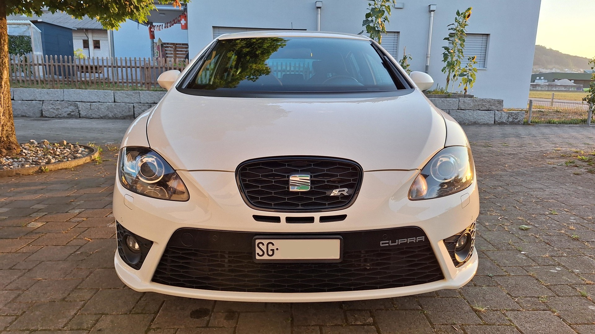 SEAT 2.0 TSI R310 White Edition-image-1