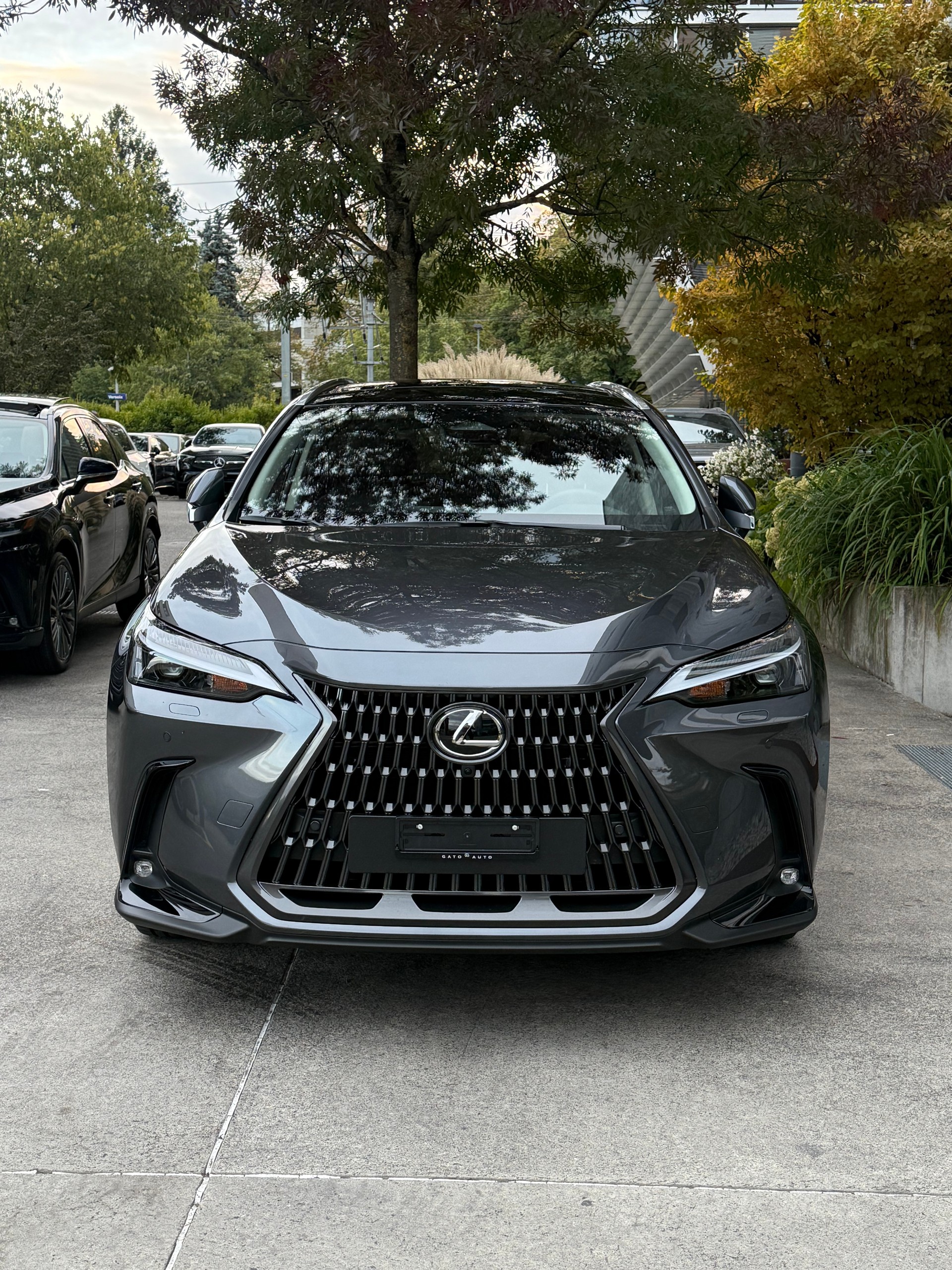 LEXUS NX 450h+ E-FOUR Comfort-image-5
