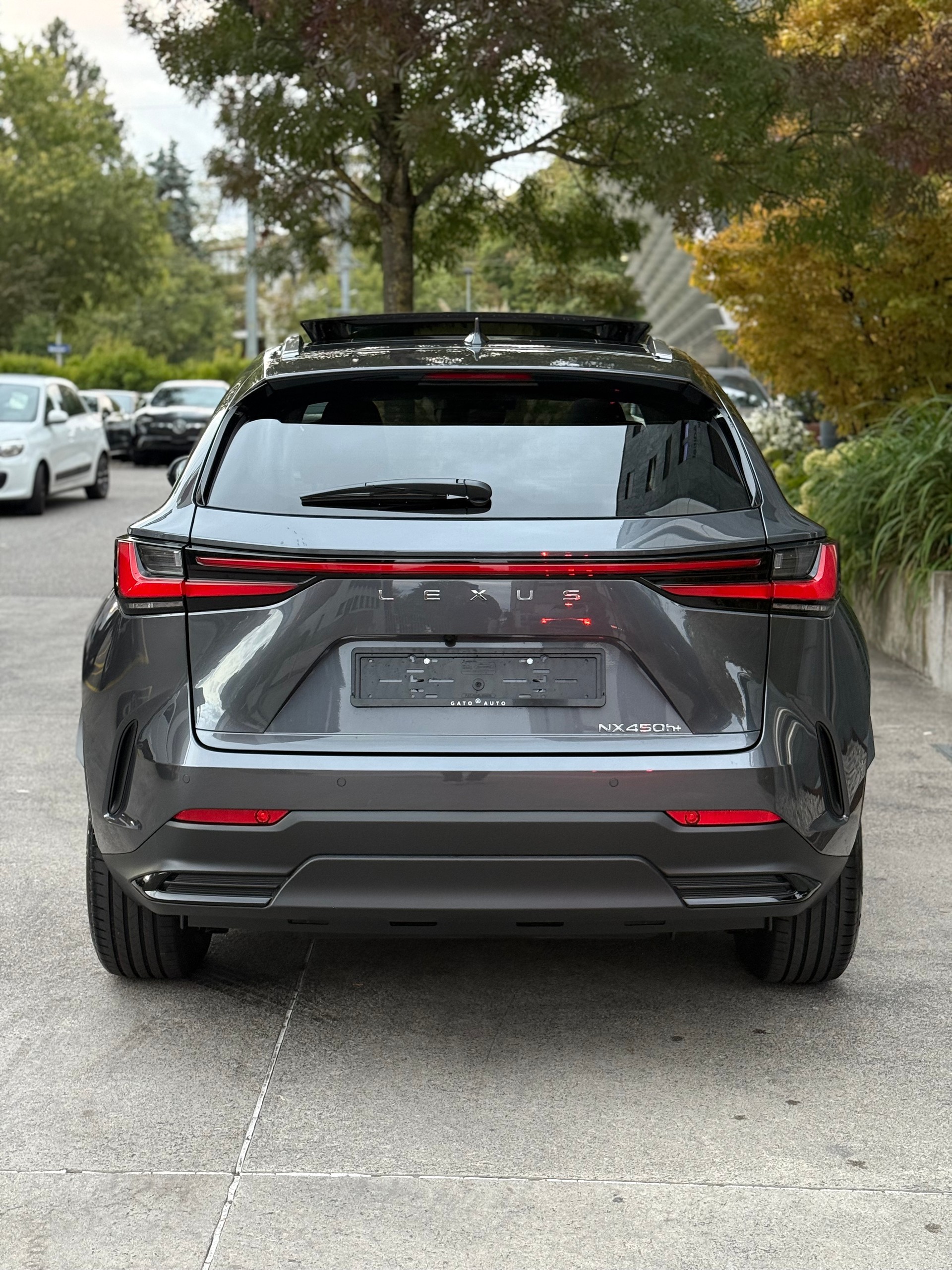 LEXUS NX 450h+ E-FOUR Comfort-image-6