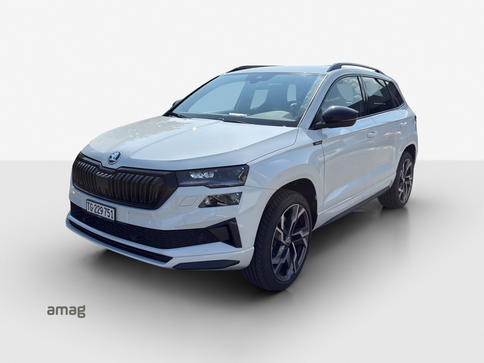SKODA Karoq 2.0 TDI CR Sport Line 4x4 DSG-image-0