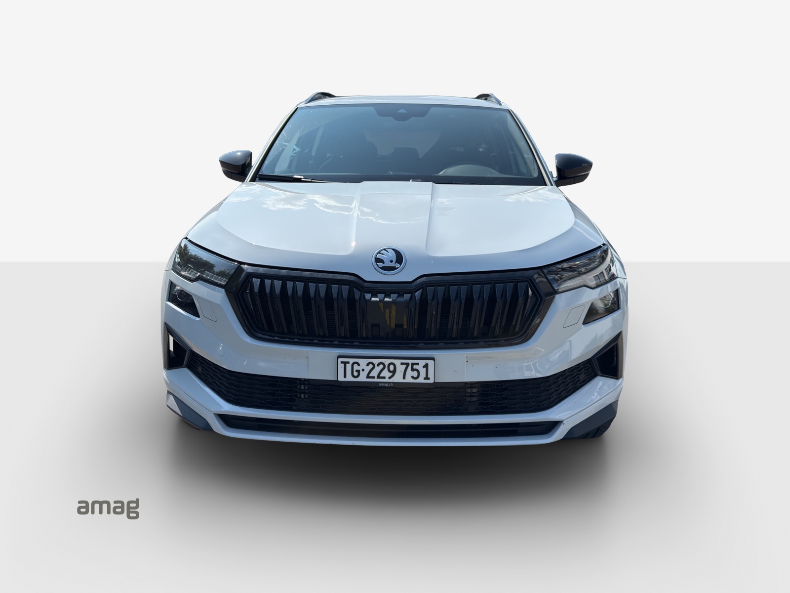 SKODA Karoq 2.0 TDI CR Sport Line 4x4 DSG-image-6