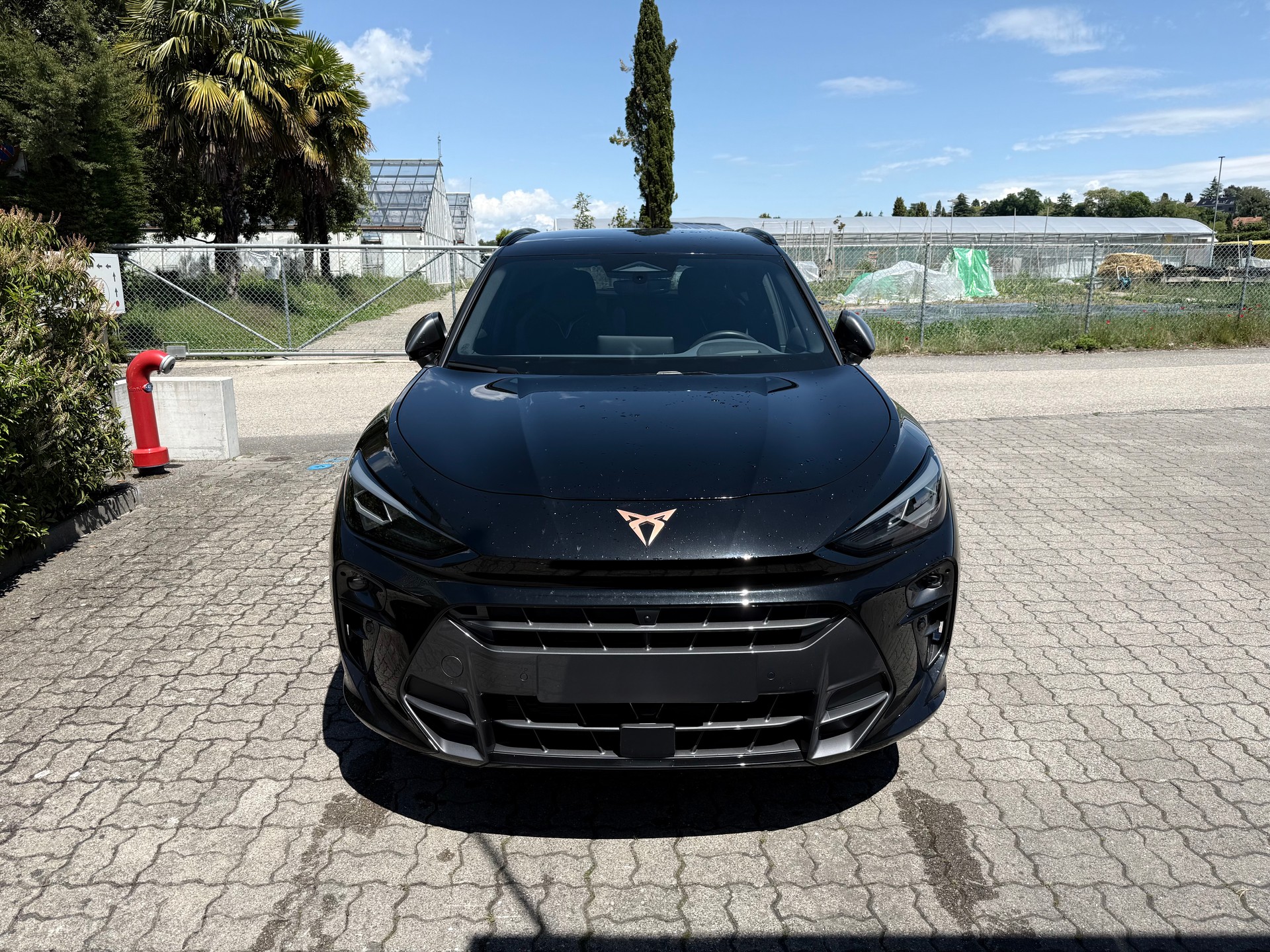 CUPRA 1.5 eTSI DSG-image-2