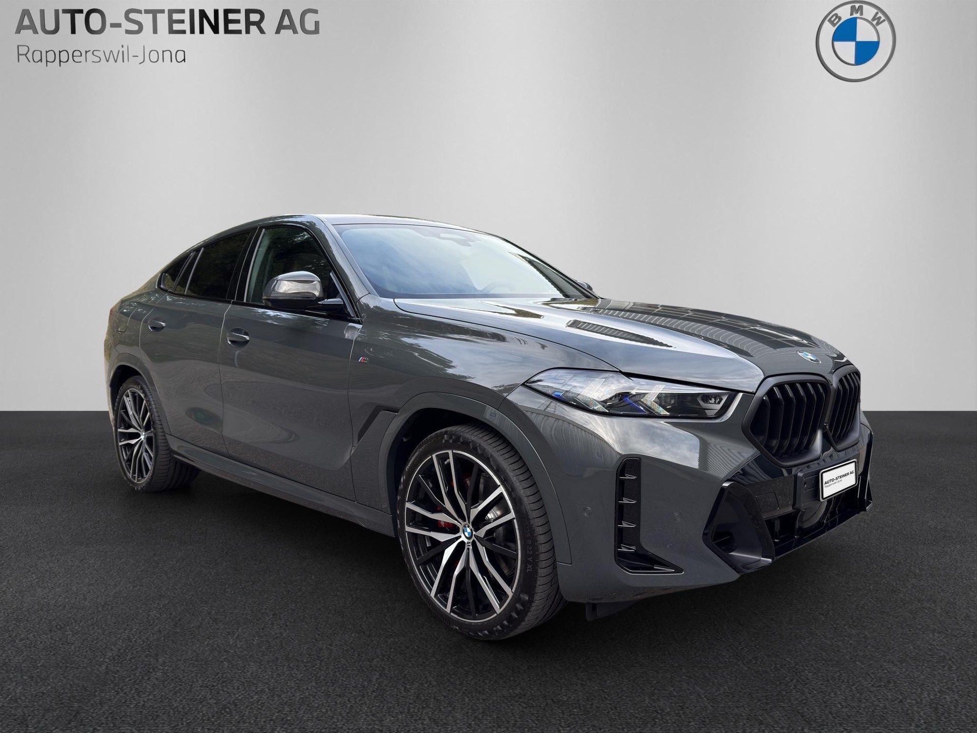 BMW X6 G06 40d xDrive M Sportpaket Pro-image-6