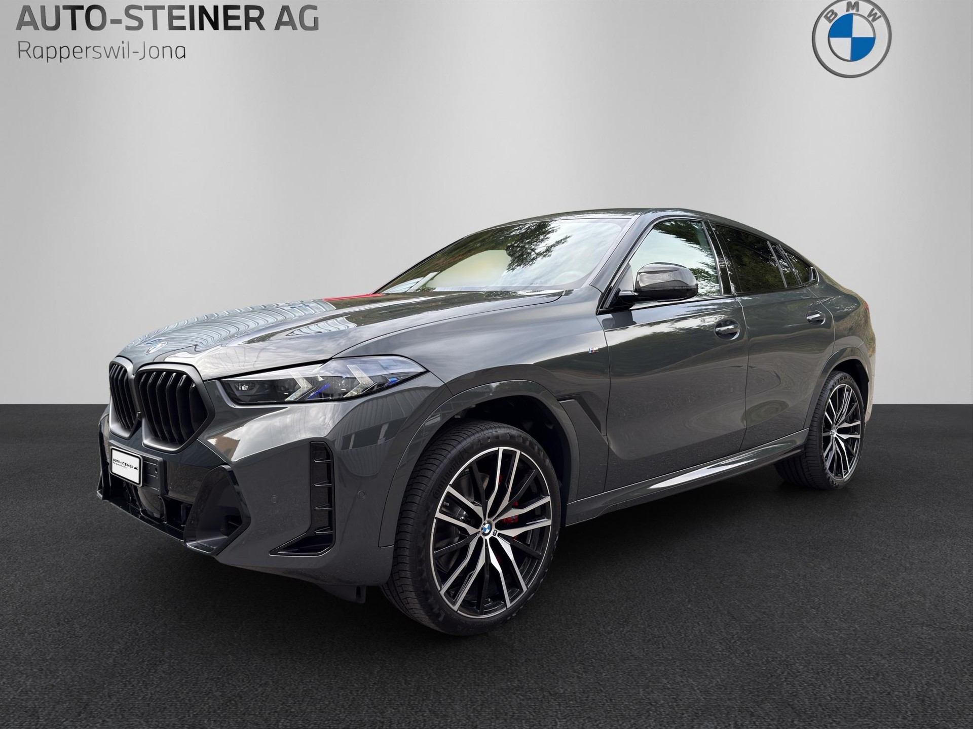 BMW X6 G06 40d xDrive M Sportpaket Pro-image-0