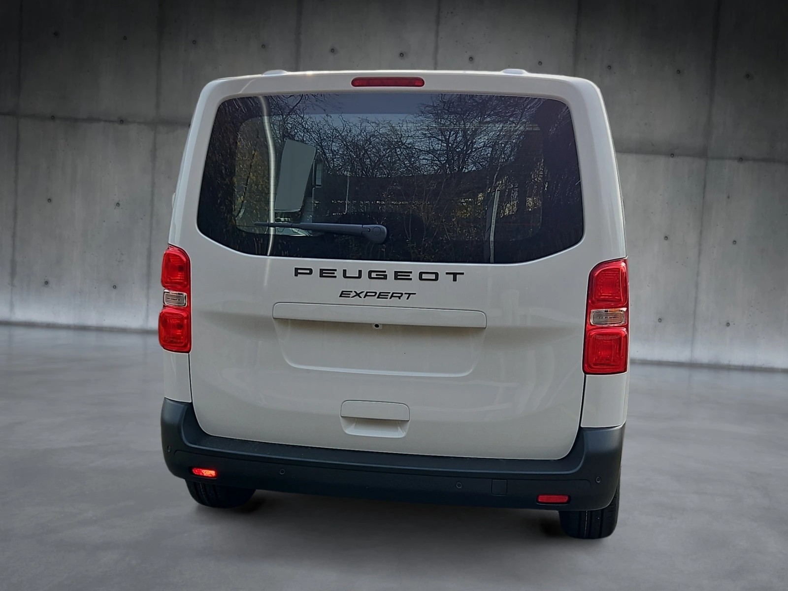 PEUGEOT Expert 2.2 BlueHDi 120 S&S Vertiefte Kabine Standard-image-4