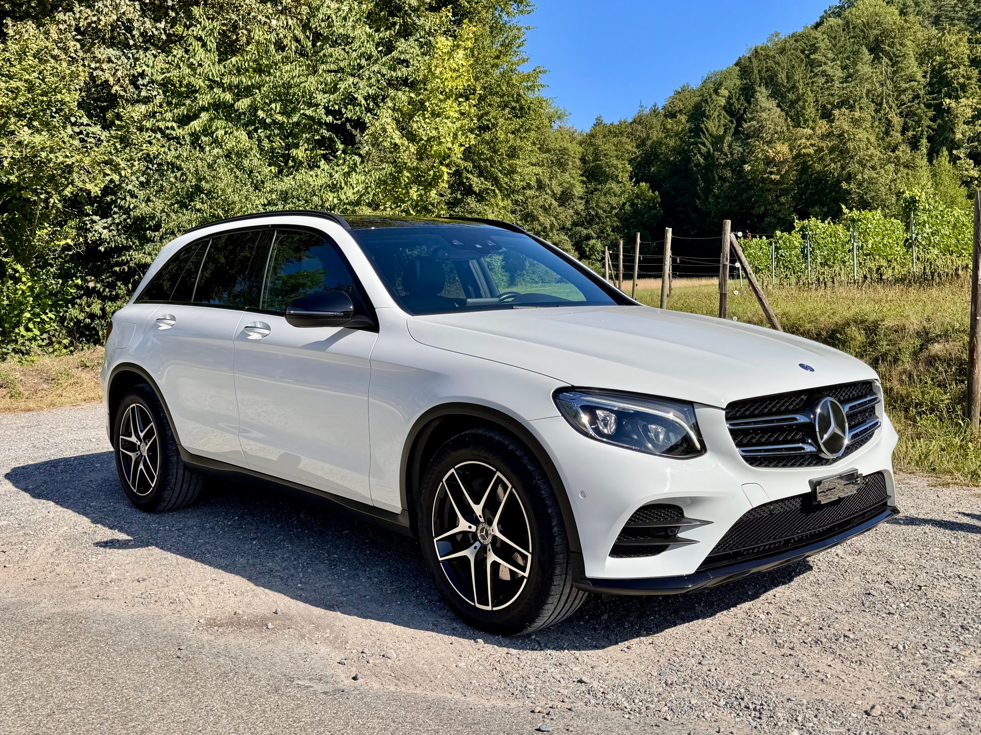 MERCEDES-BENZ GLC 250d 4m-image-0