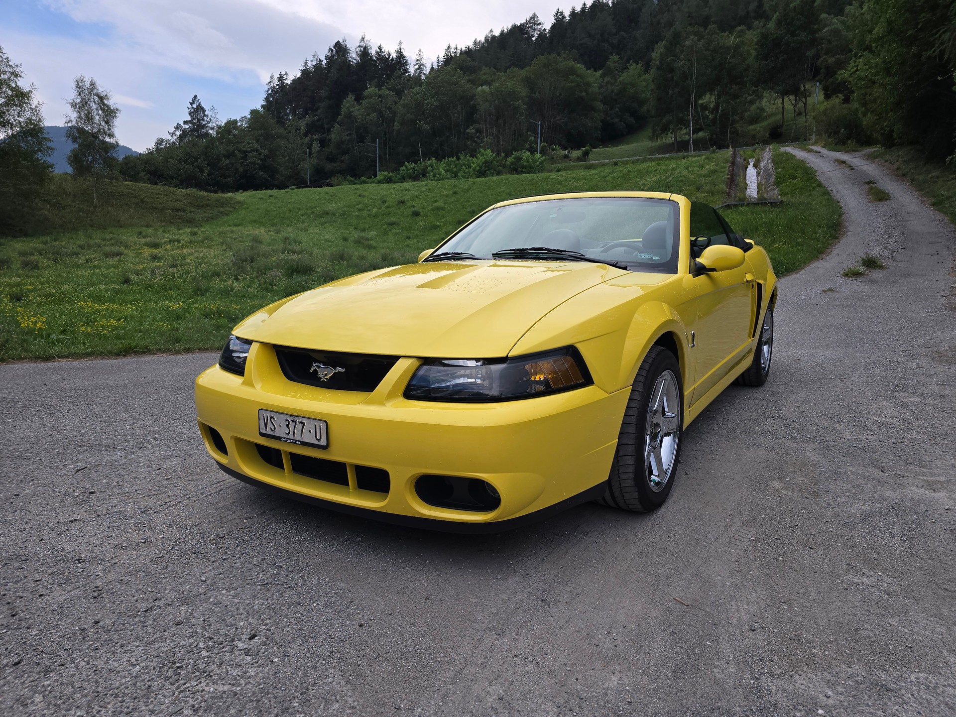 FORD Cobra SVT Terminator 400 PS Compressor-image-0