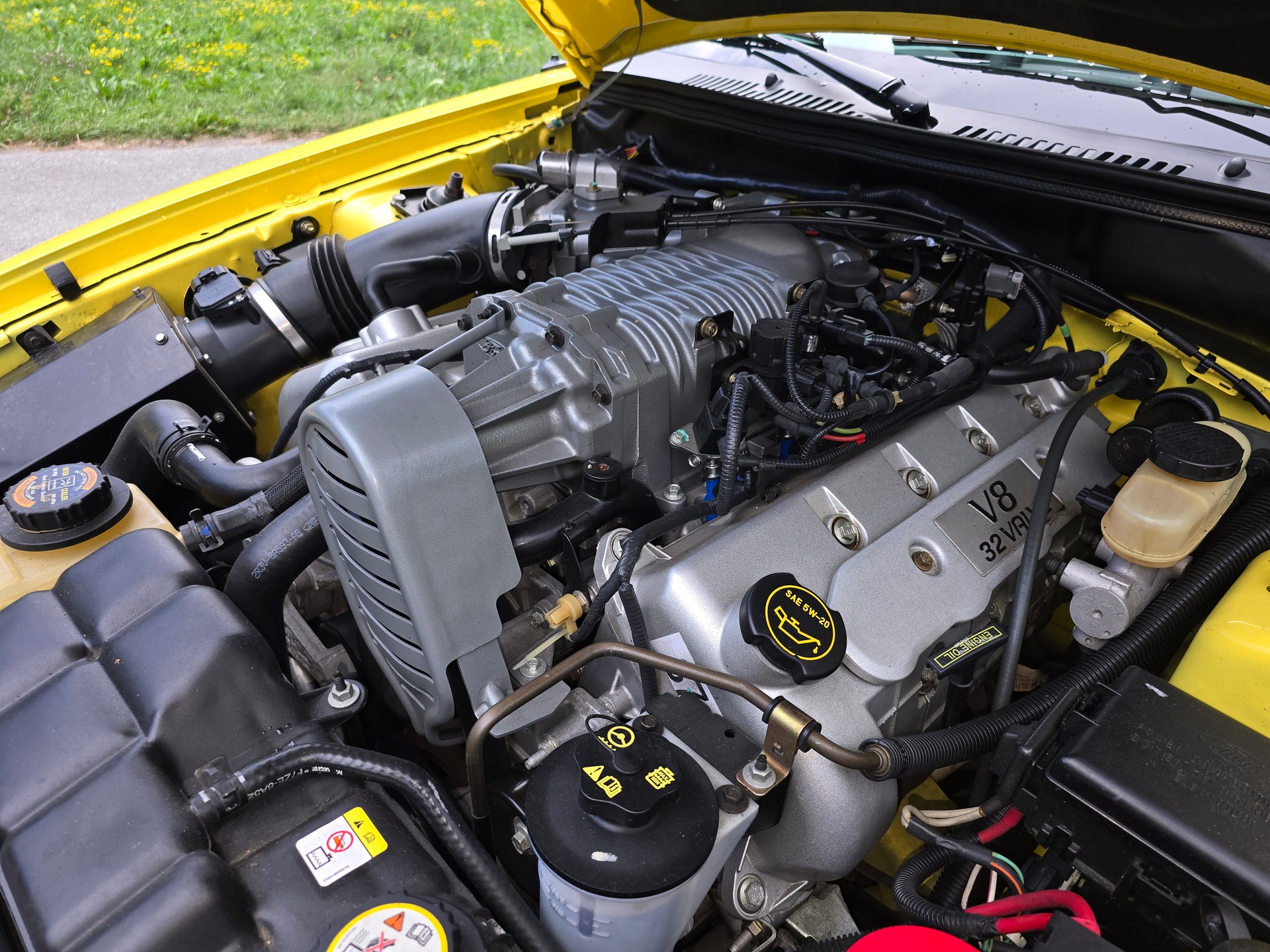 FORD Cobra SVT Terminator 400 PS Compressor-image-19