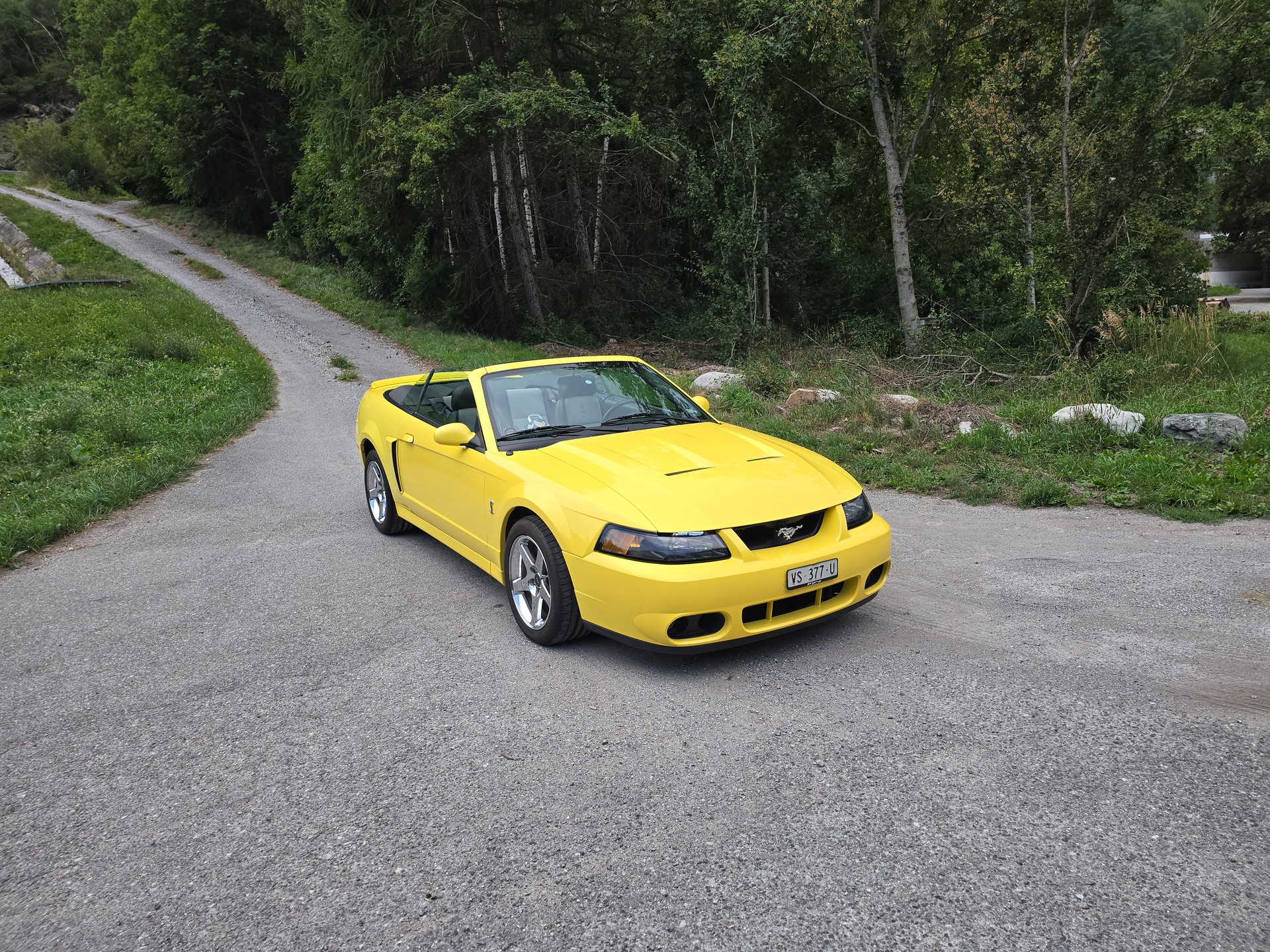 FORD Cobra SVT Terminator 400 PS Compressor-image-11