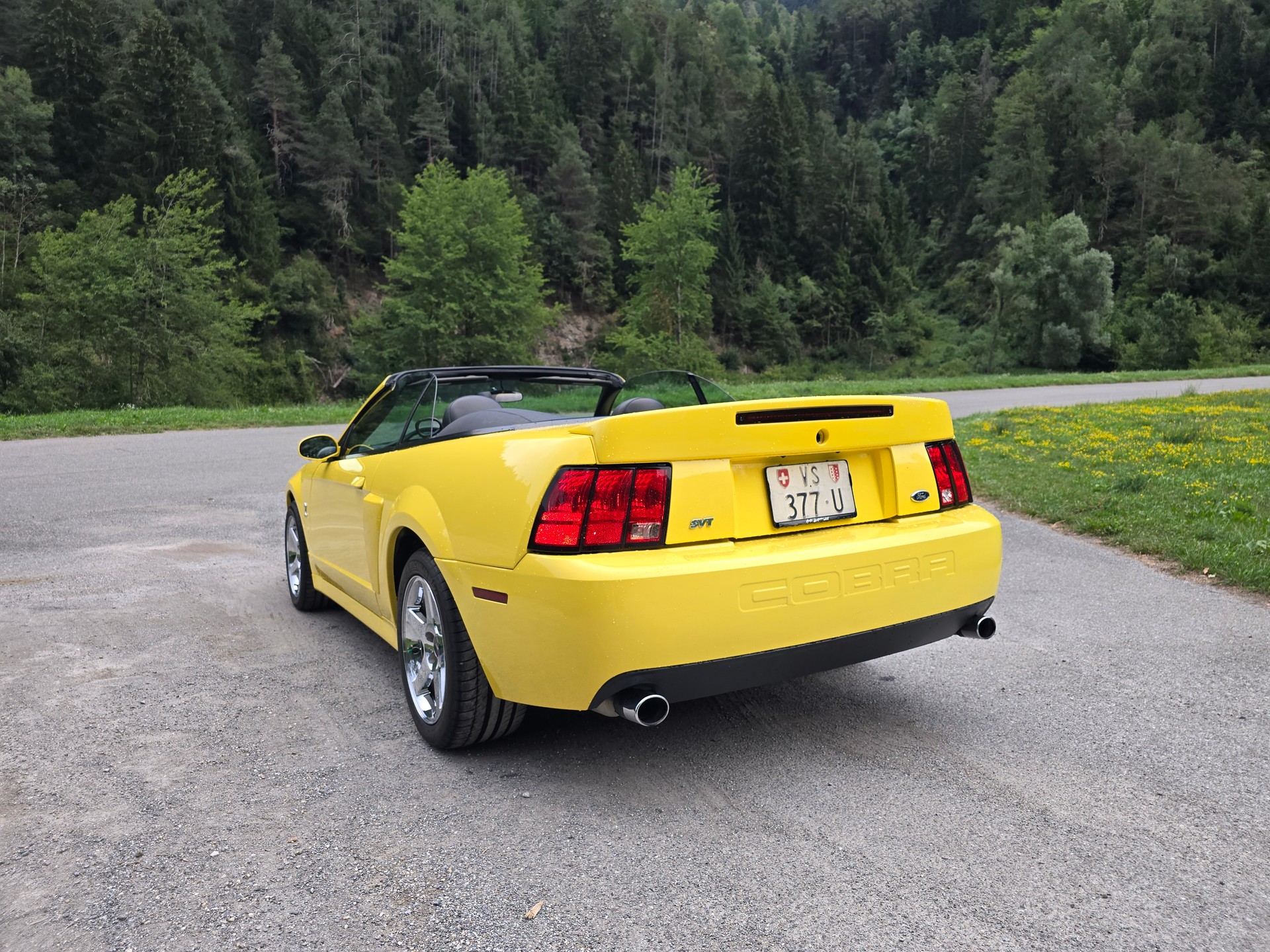 FORD Cobra SVT Terminator 400 PS Compressor-image-6