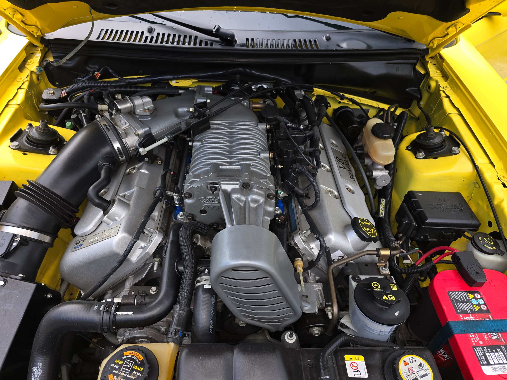 FORD Cobra SVT Terminator 400 PS Compressor-image-17