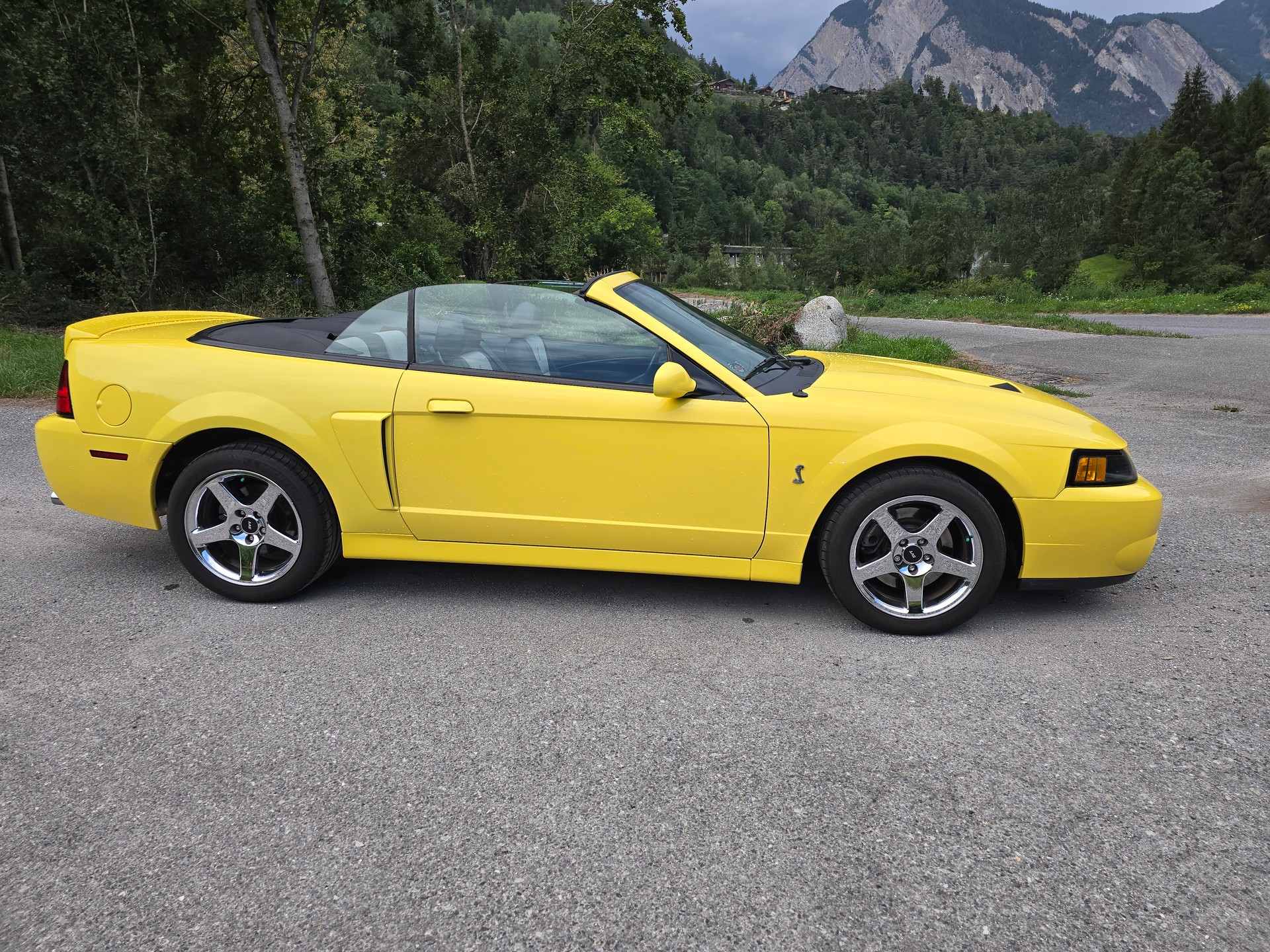 FORD Cobra SVT Terminator 400 PS Compressor-image-3