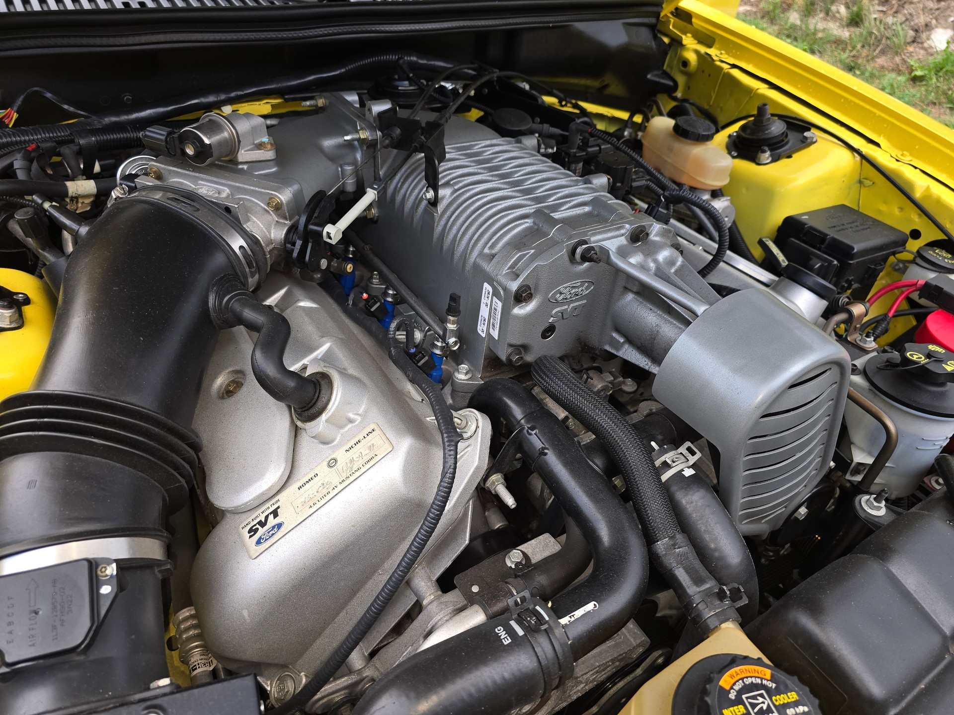 FORD Cobra SVT Terminator 400 PS Compressor-image-18