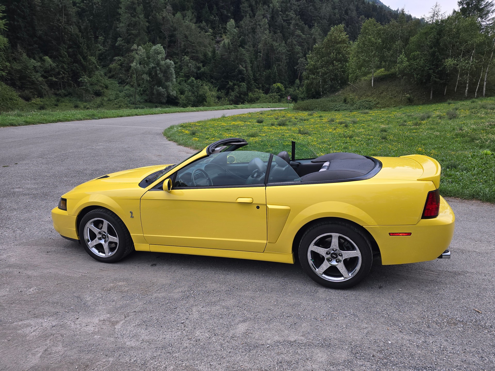 FORD Cobra SVT Terminator 400 PS Compressor-image-7