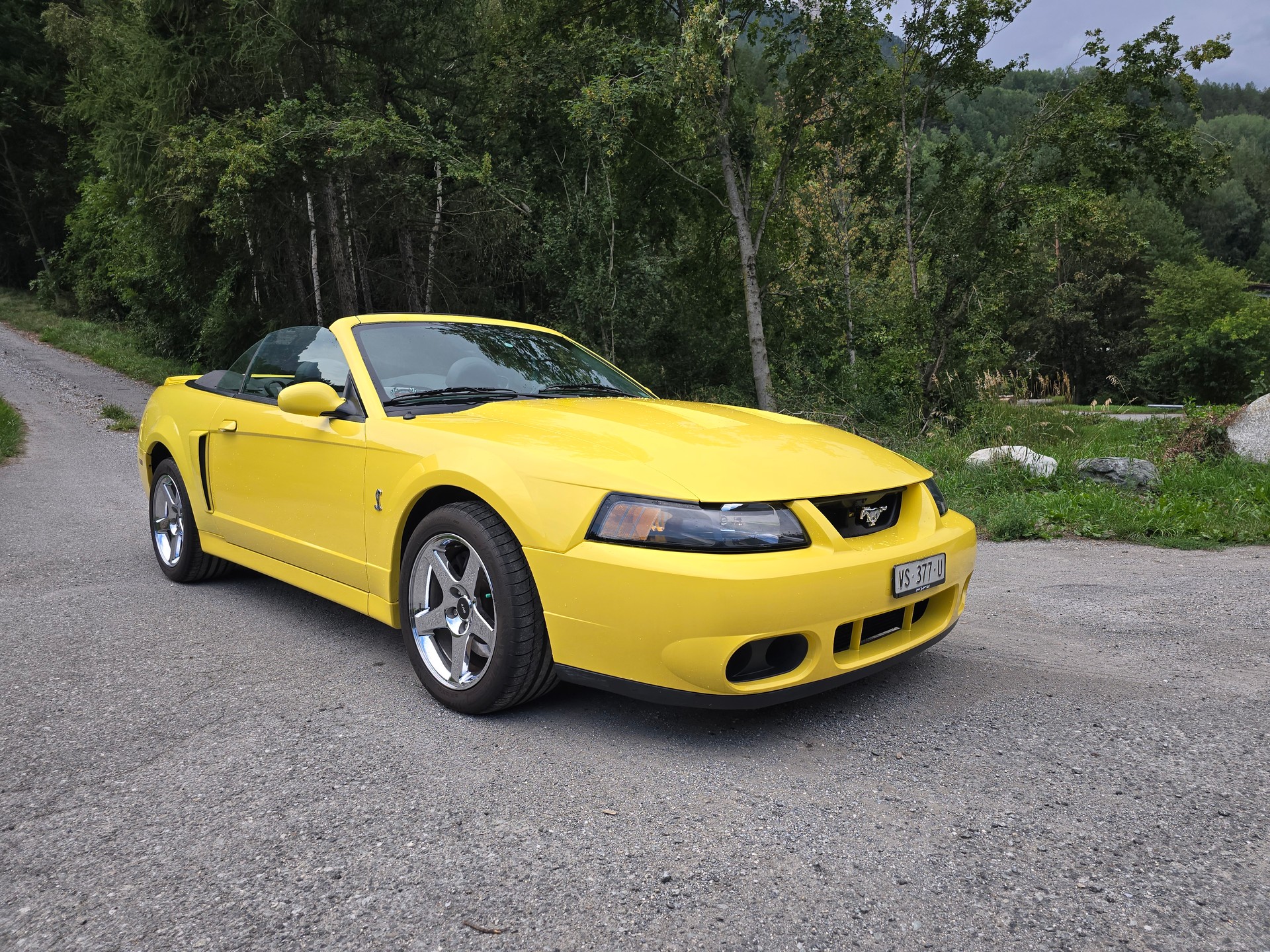 FORD Cobra SVT Terminator 400 PS Compressor-image-2