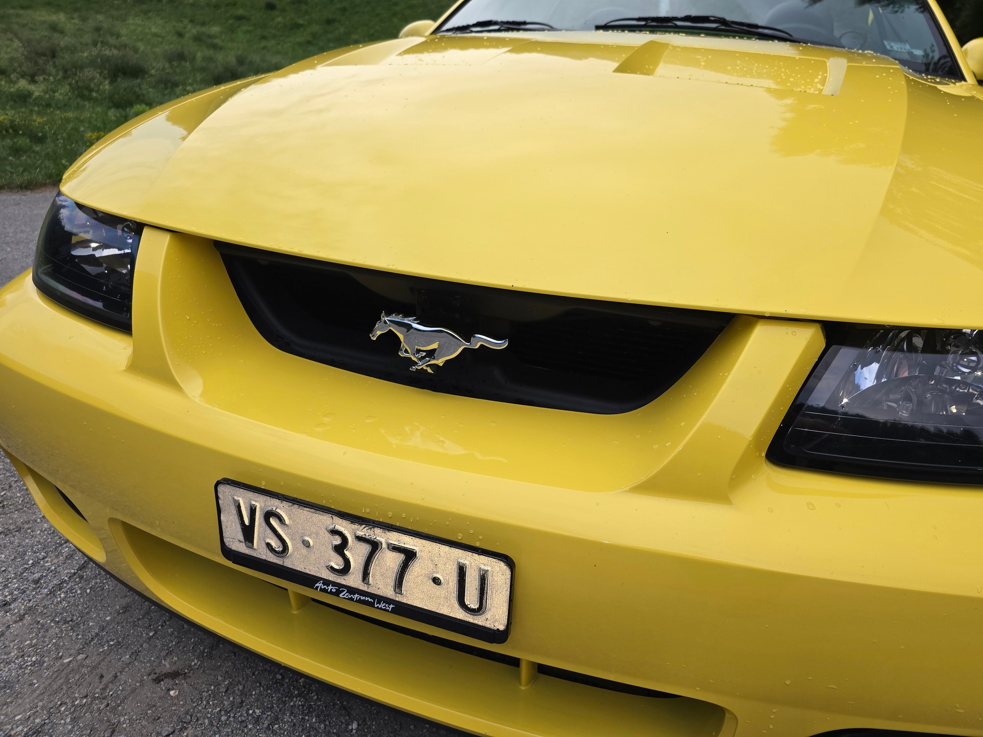 FORD Cobra SVT Terminator 400 PS Compressor-image-9